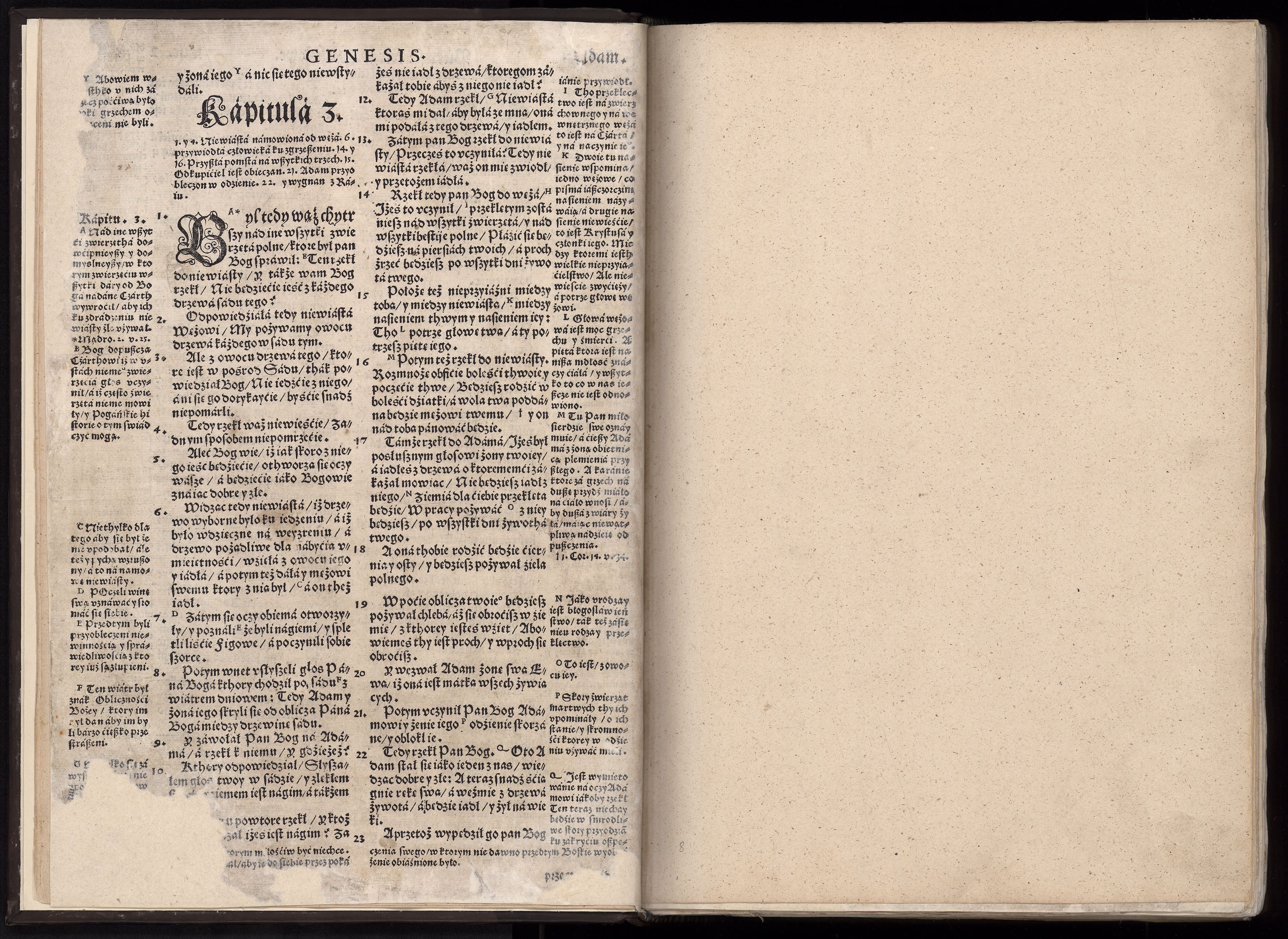 1_225_0_12_2747_0003