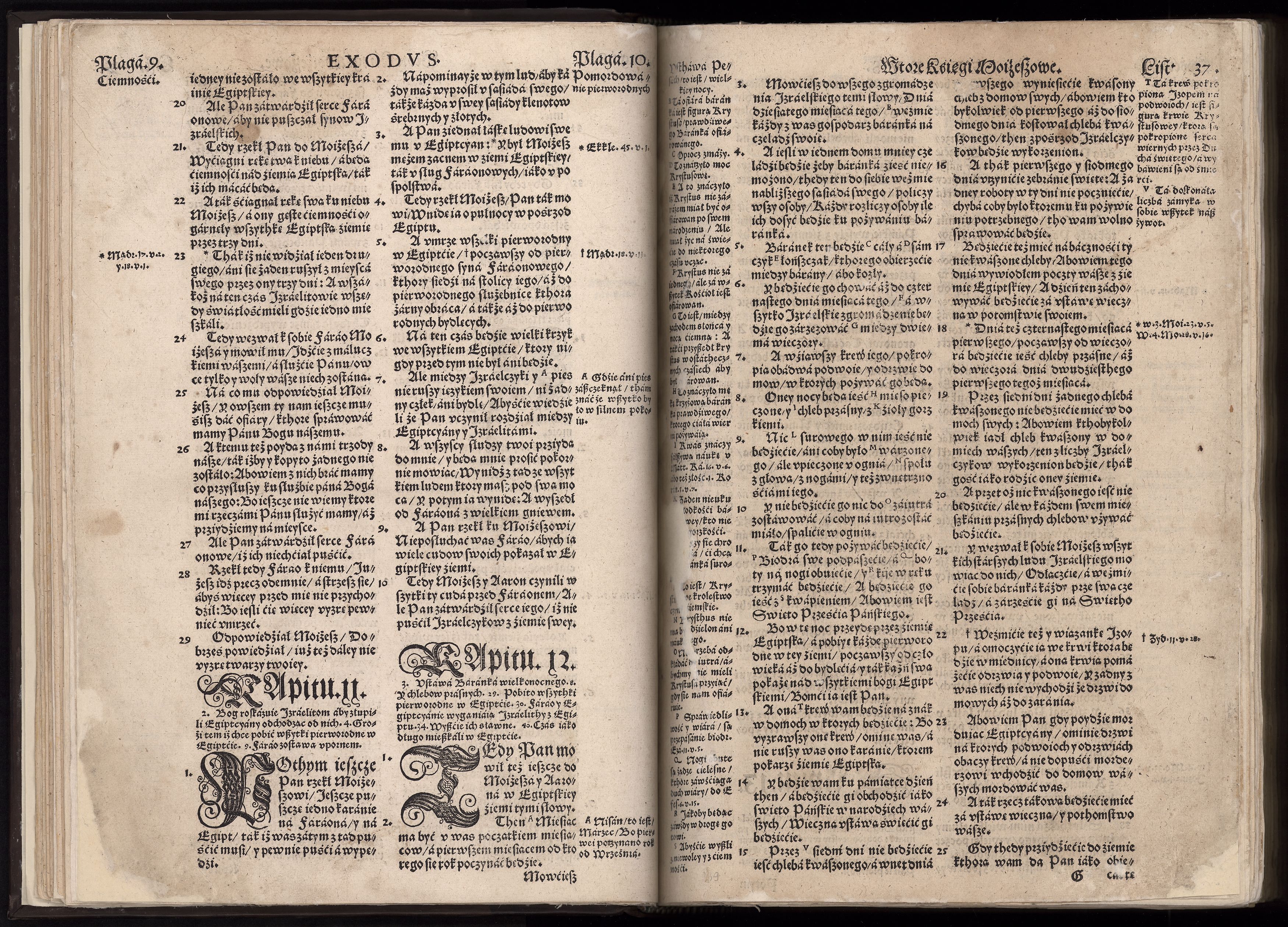 1_225_0_12_2747_0025