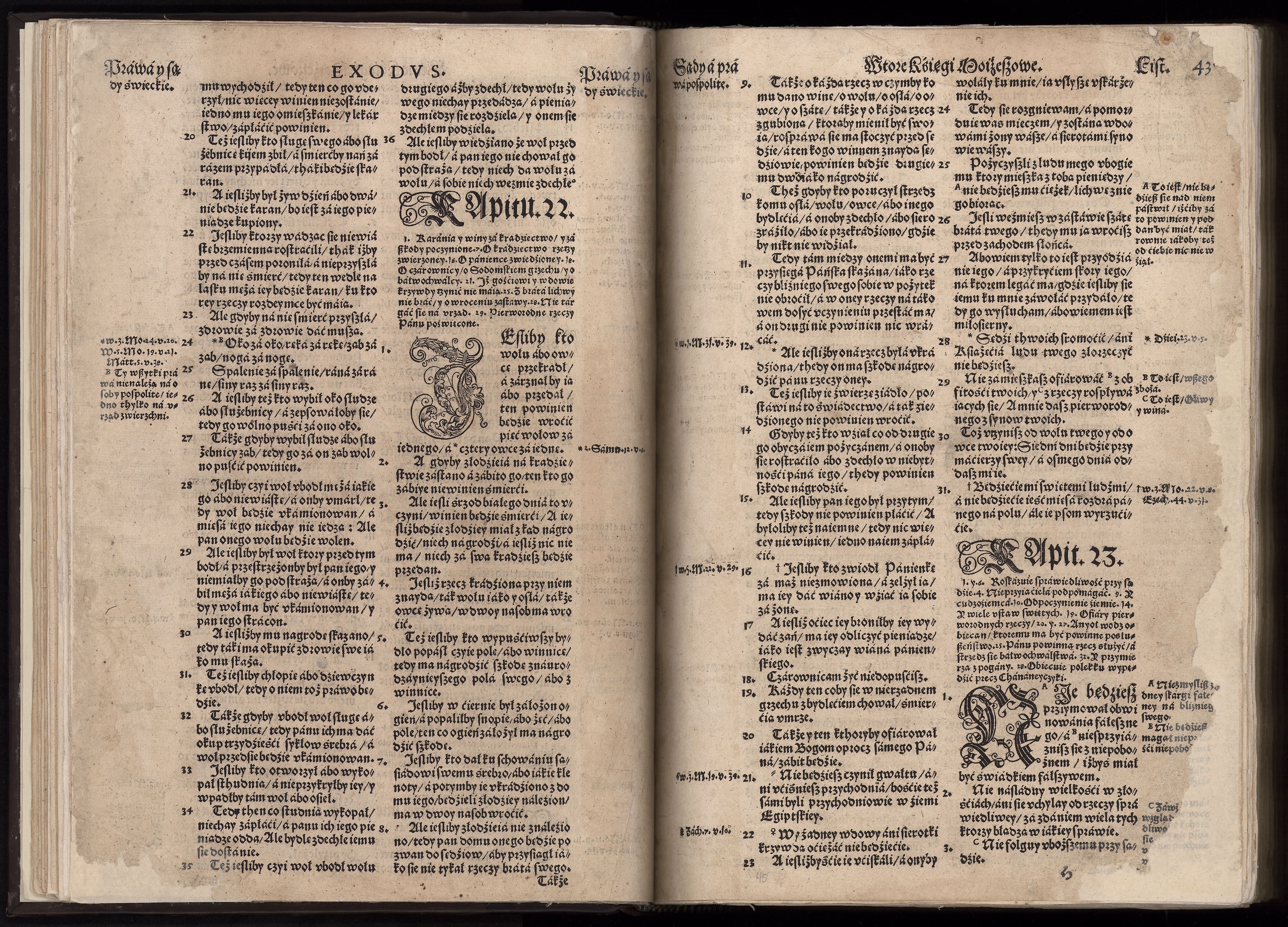 1_225_0_12_2747_0031