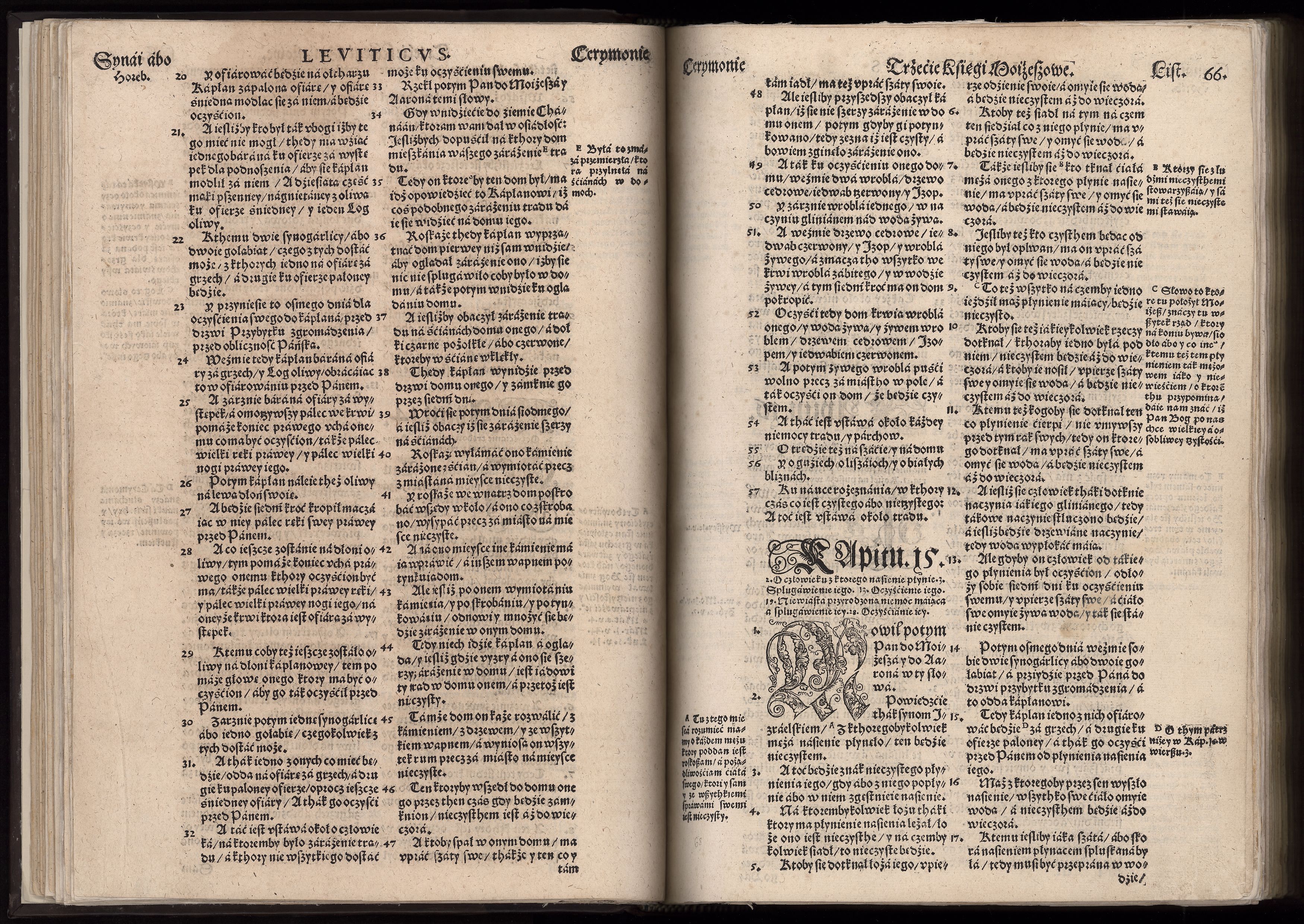 1_225_0_12_2747_0054