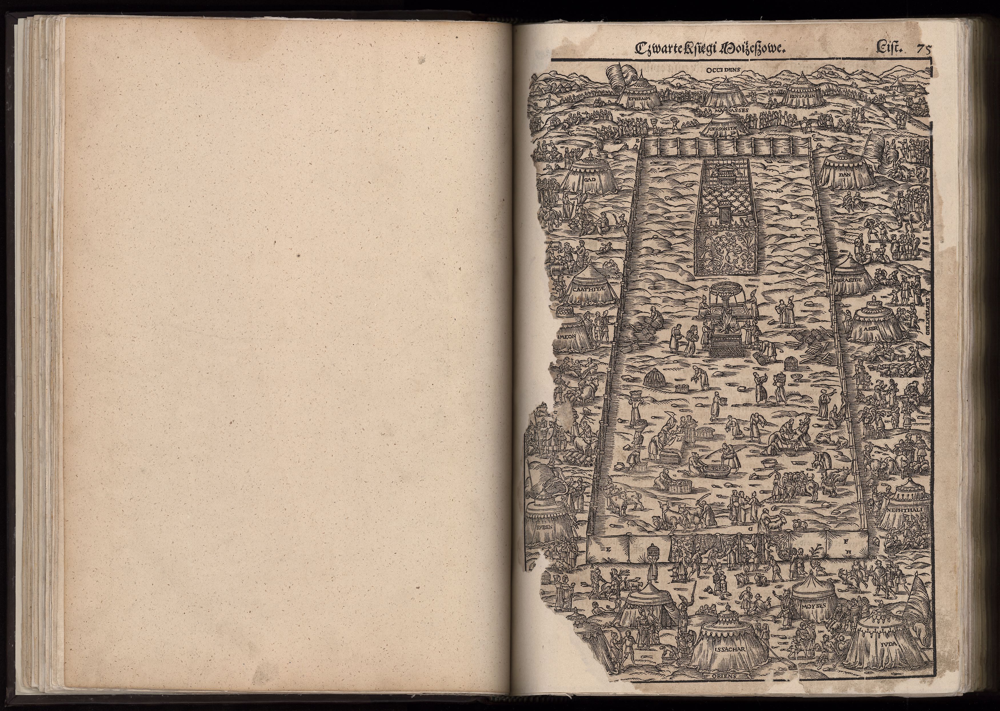 1_225_0_12_2747_0062