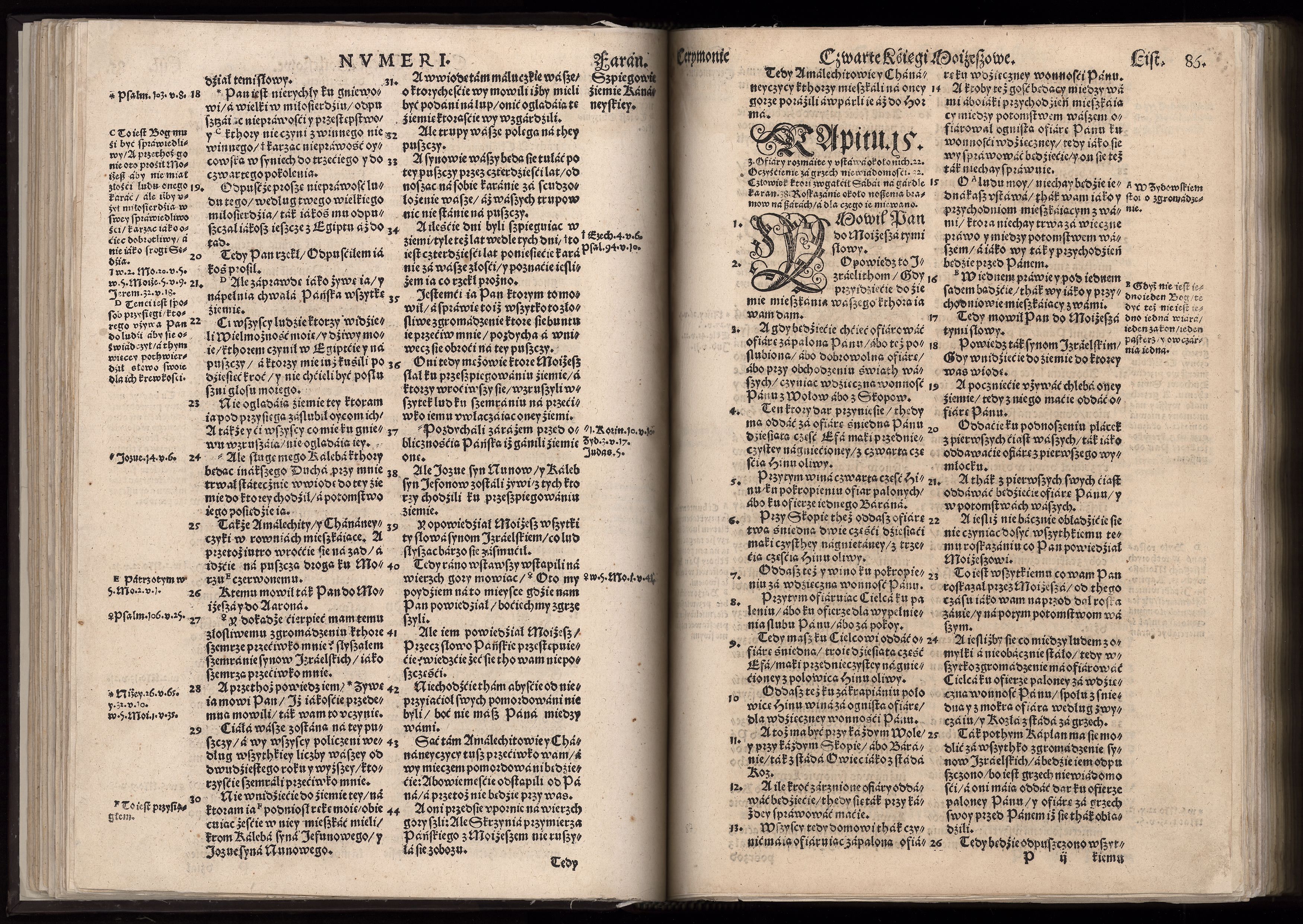 1_225_0_12_2747_0073