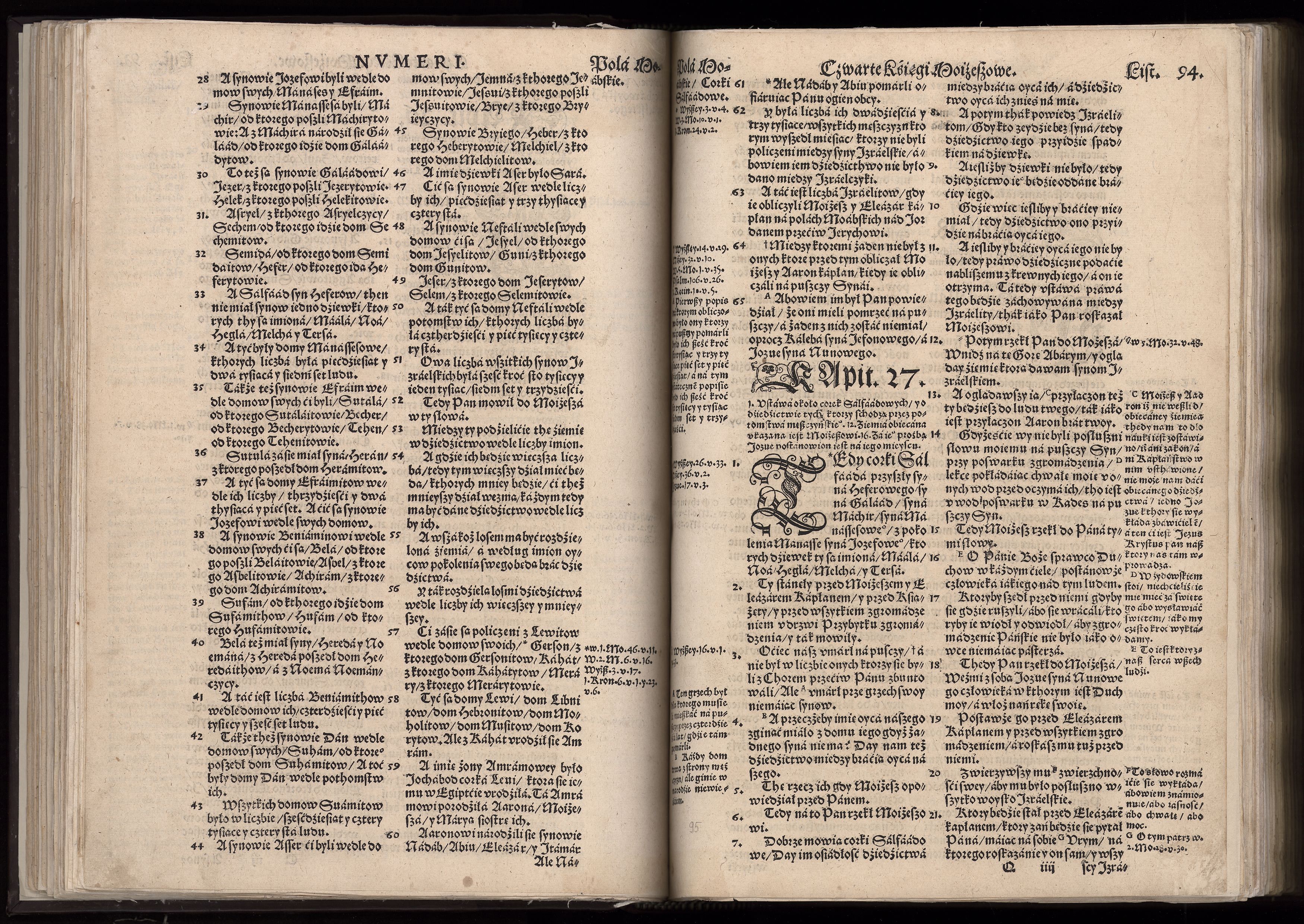 1_225_0_12_2747_0081