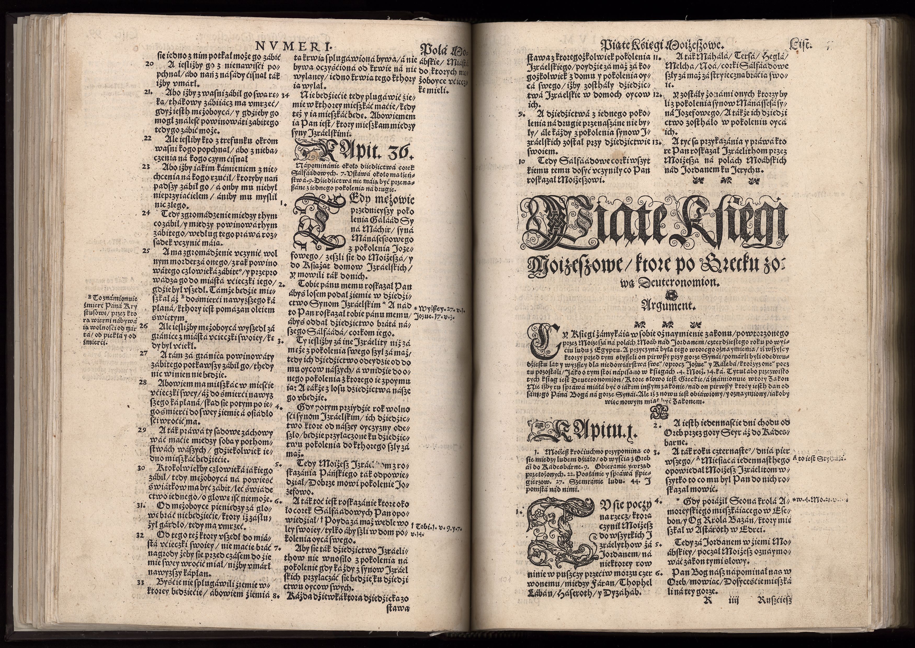 1_225_0_12_2747_0087