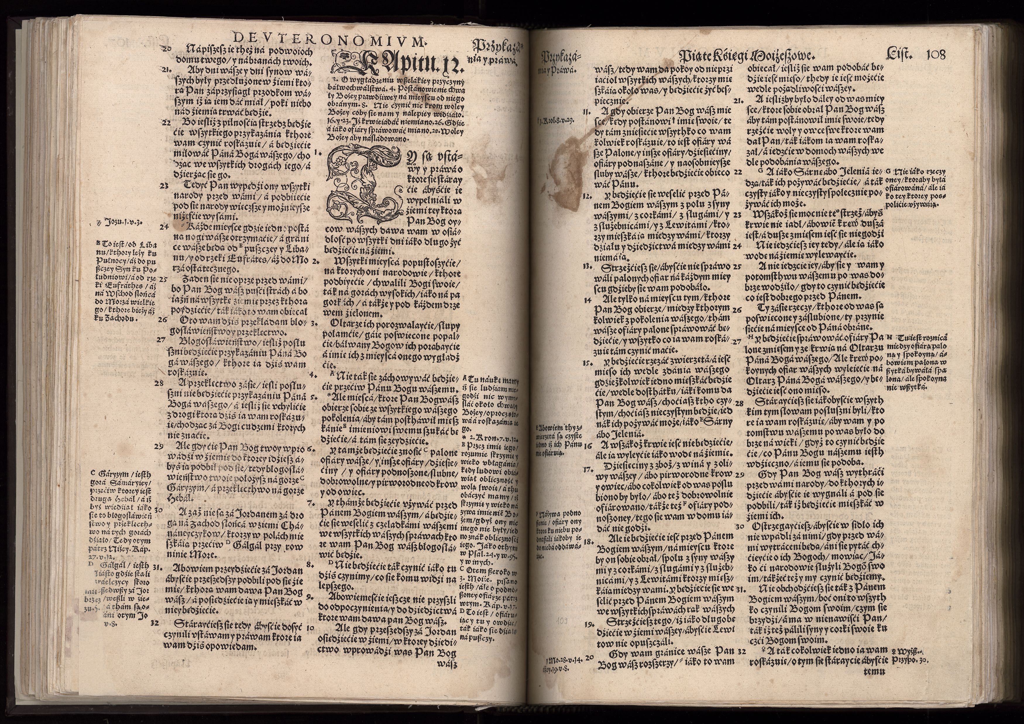 1_225_0_12_2747_0095