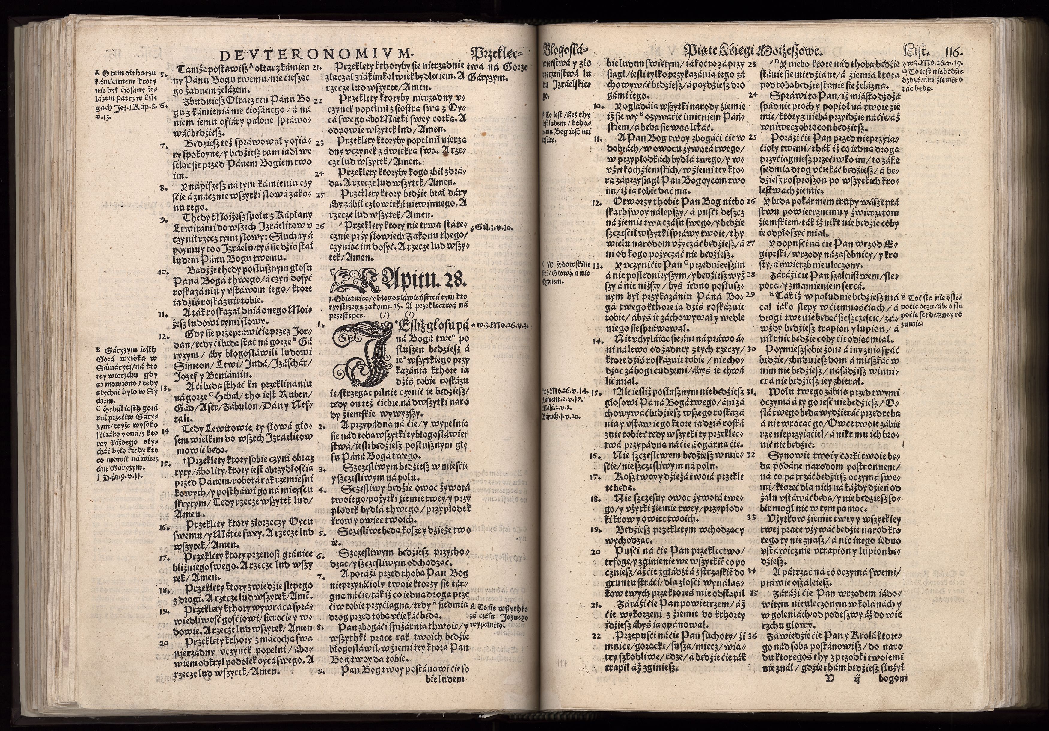 1_225_0_12_2747_0103