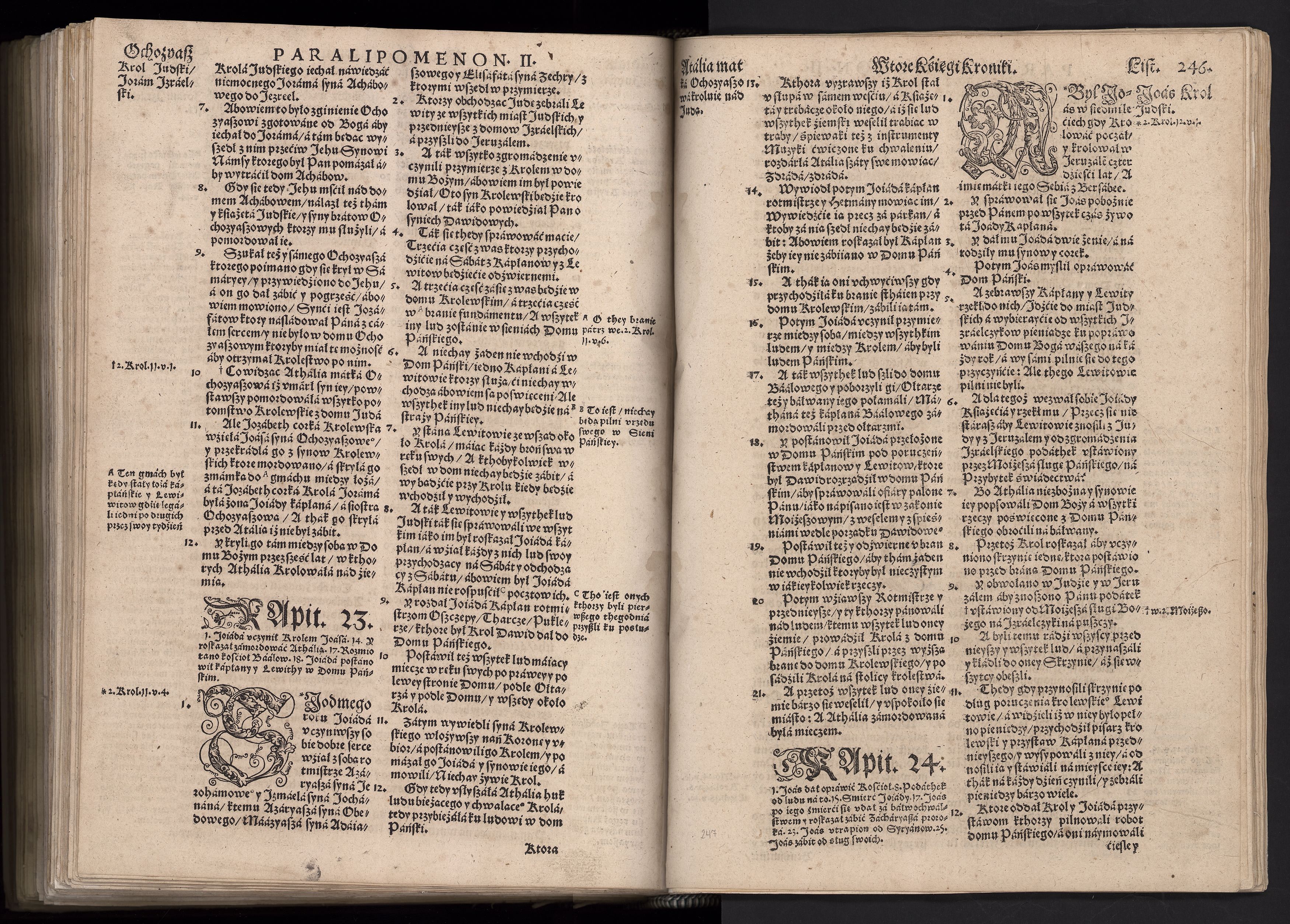 1_225_0_12_2747_0233