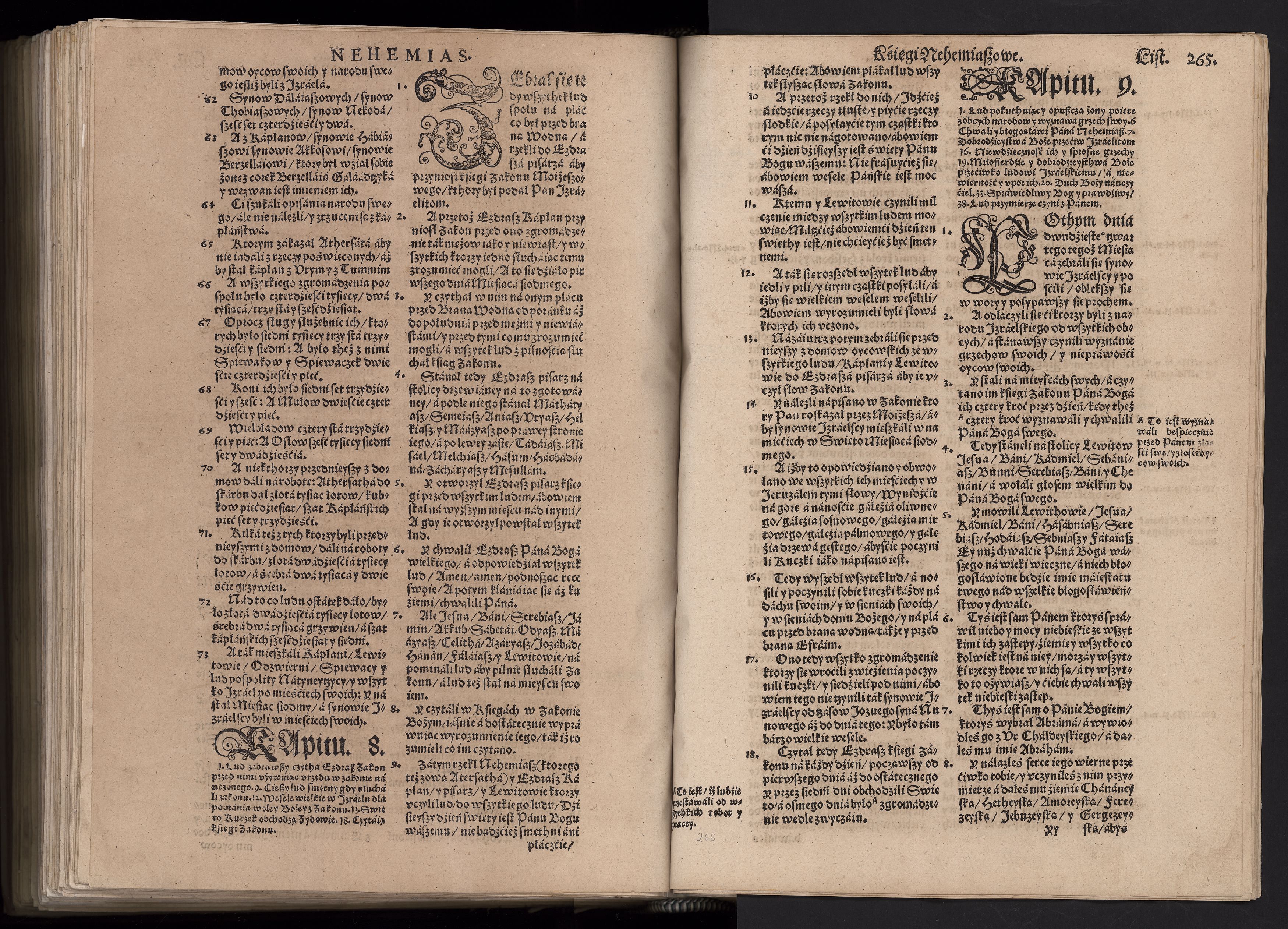 1_225_0_12_2747_0252