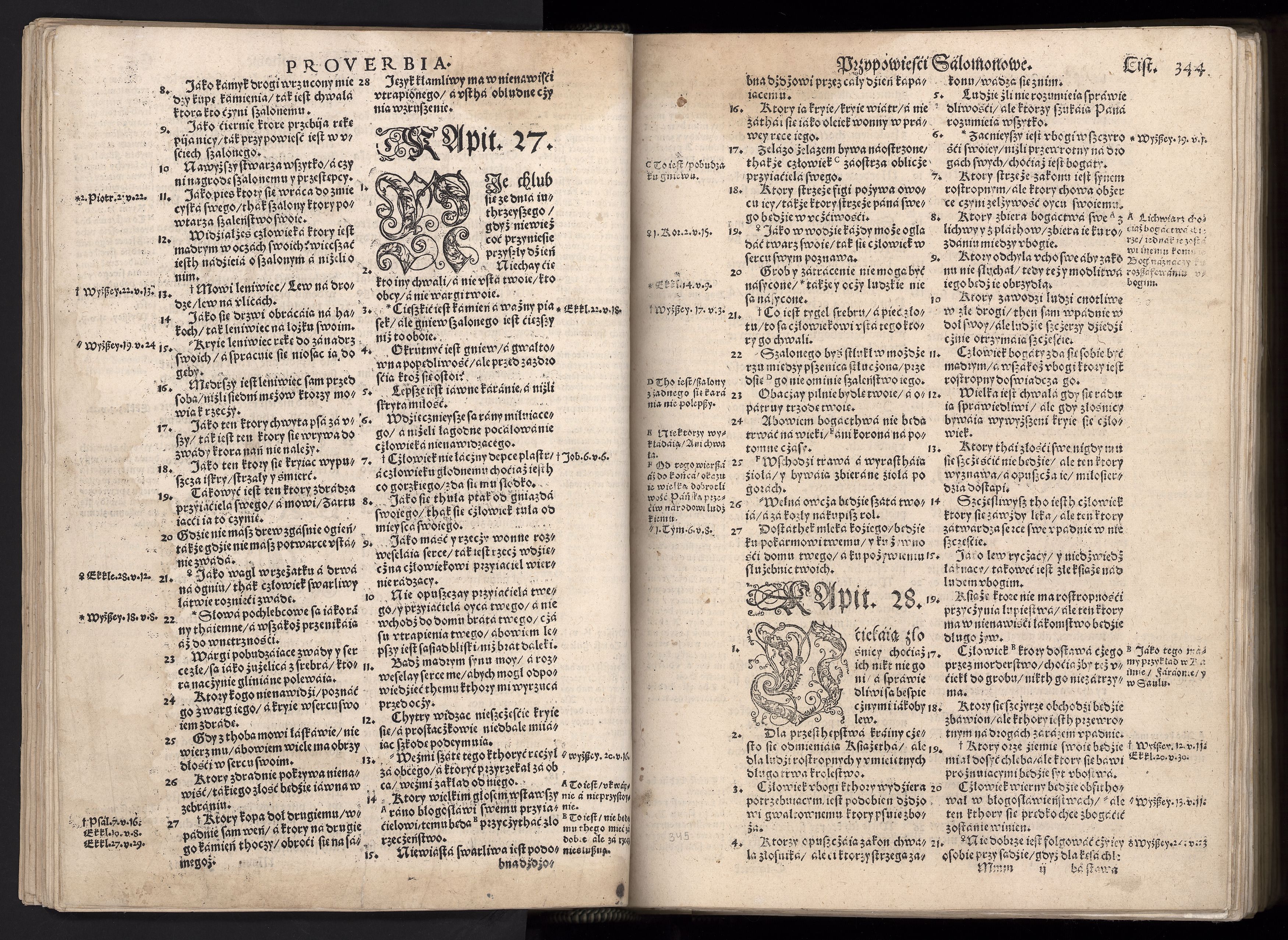 1_225_0_12_2747_0331