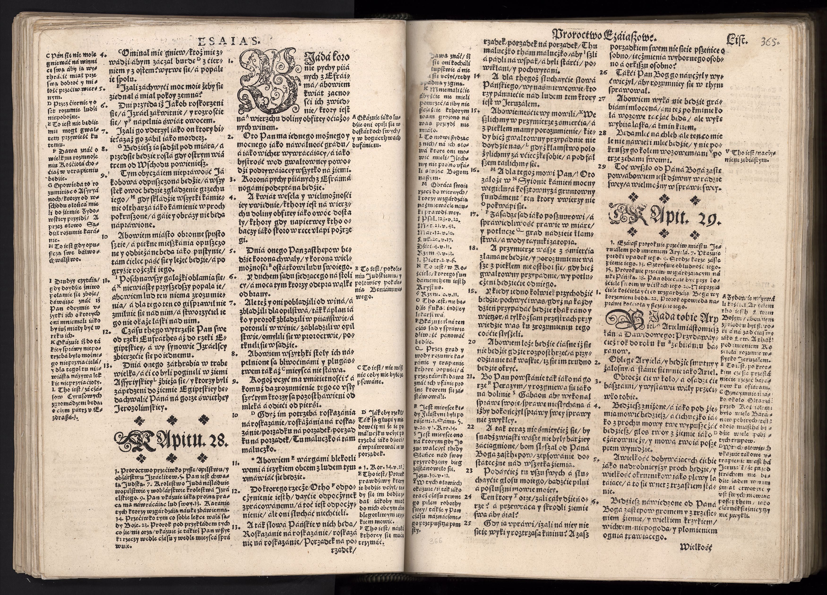 1_225_0_12_2747_0352