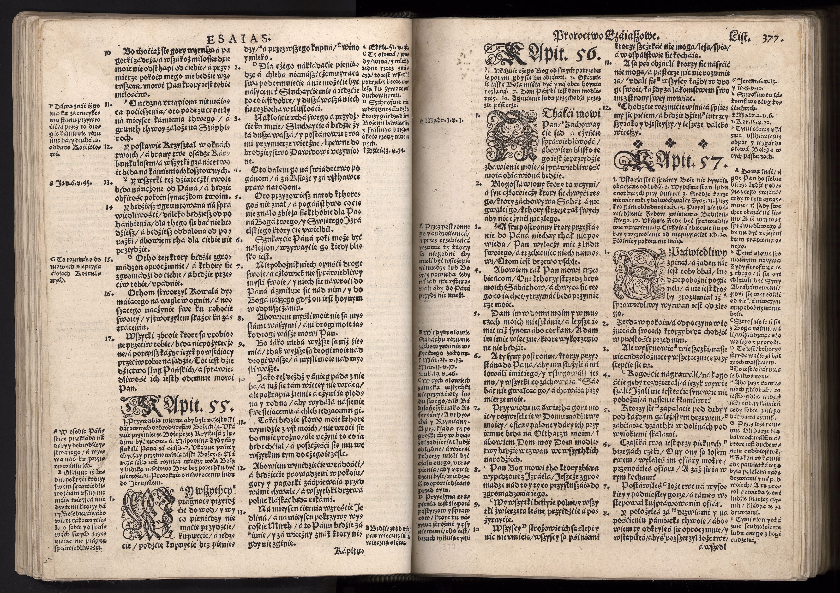 1_225_0_12_2747_0365