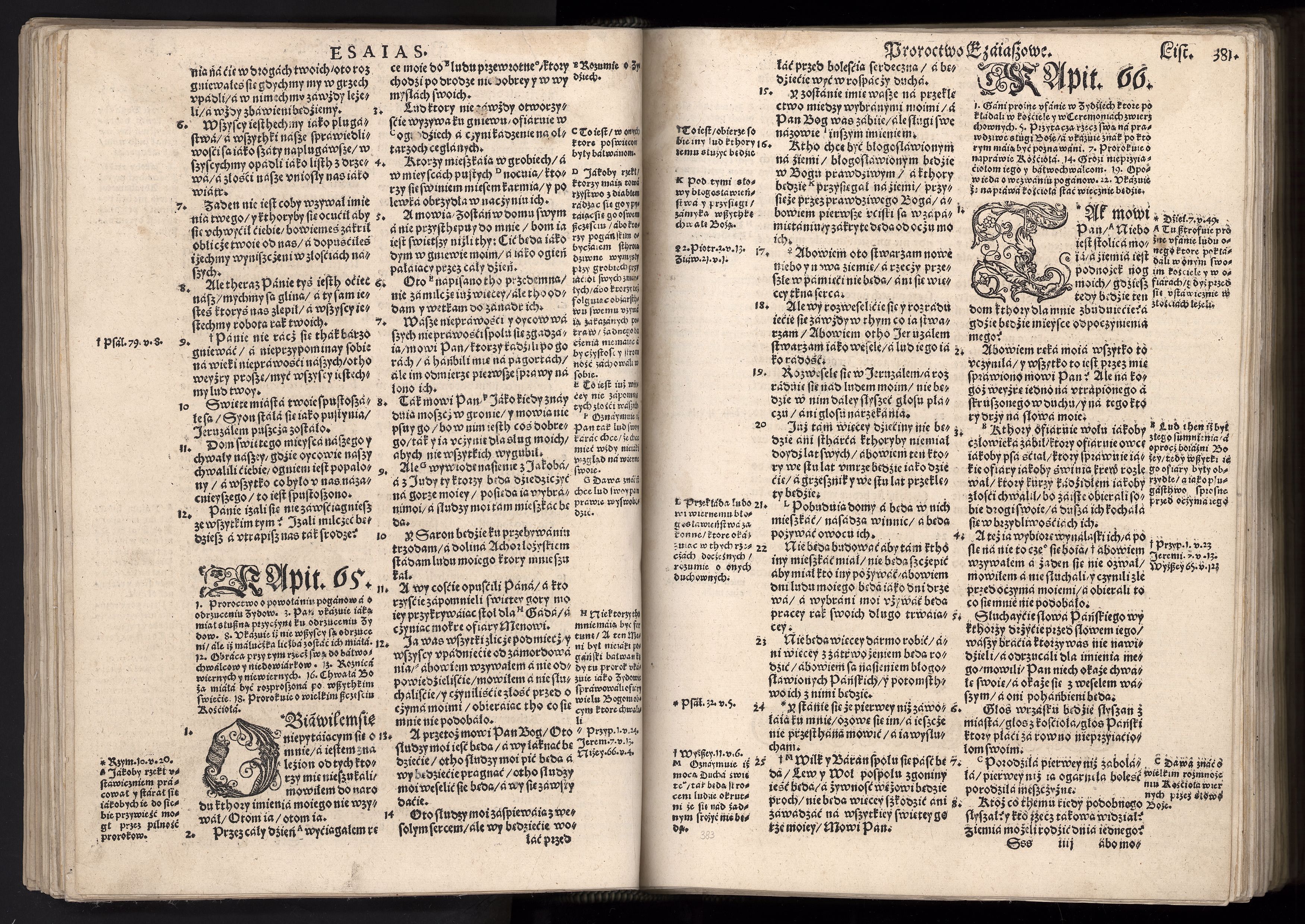 1_225_0_12_2747_0369