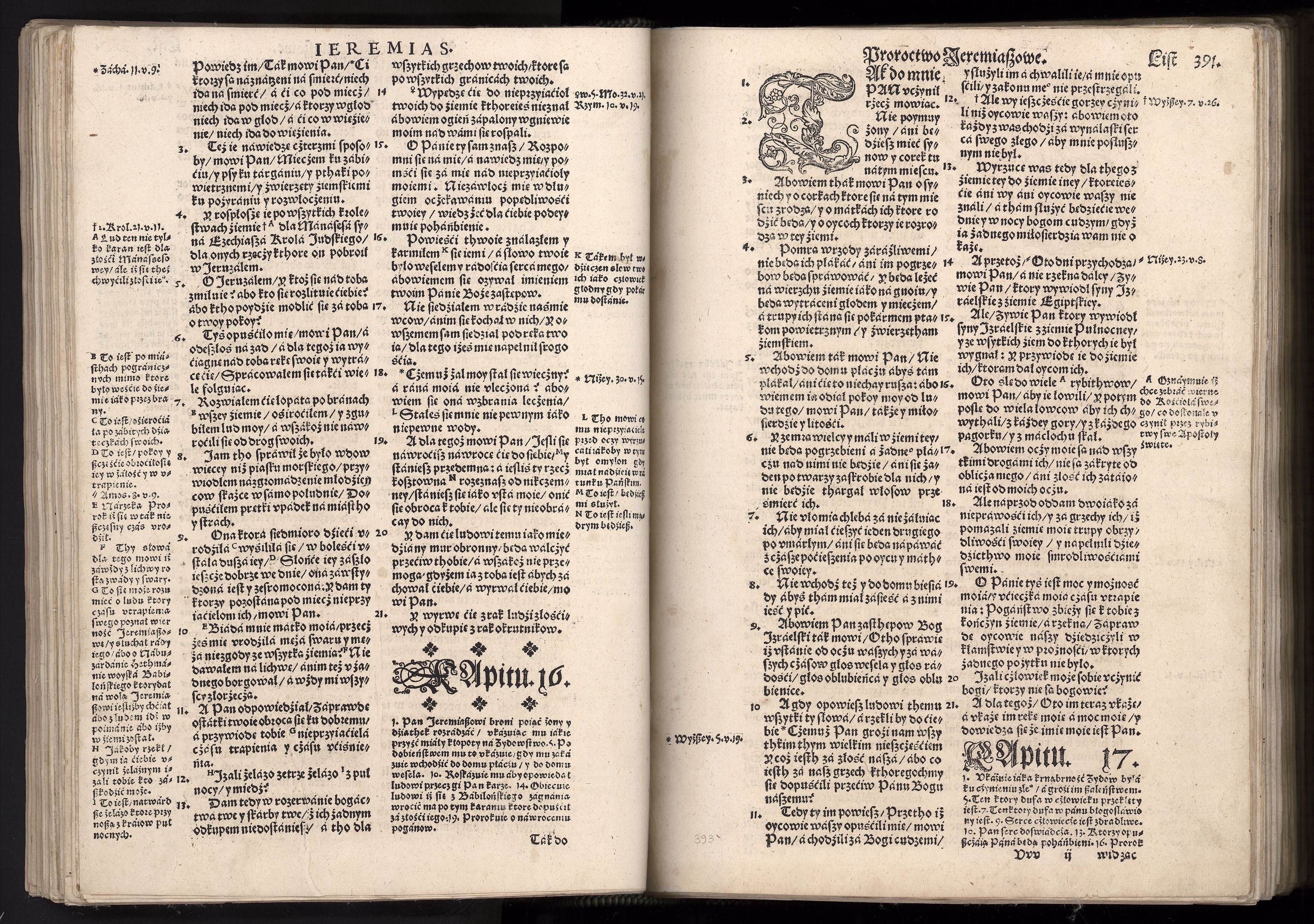 1_225_0_12_2747_0379