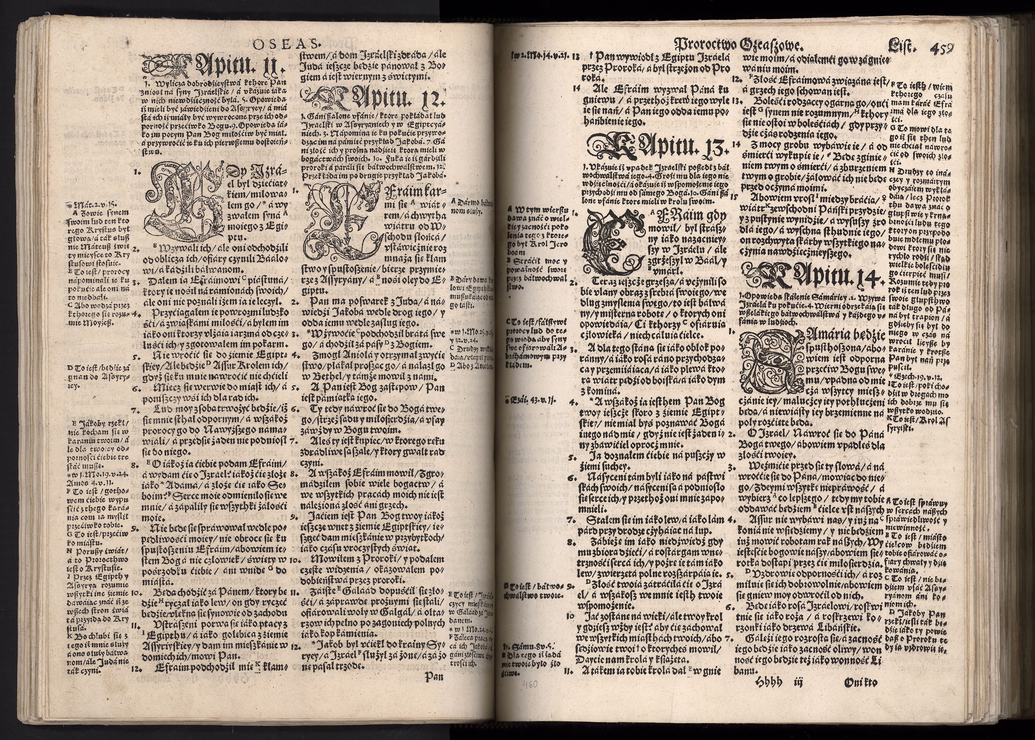 1_225_0_12_2747_0446