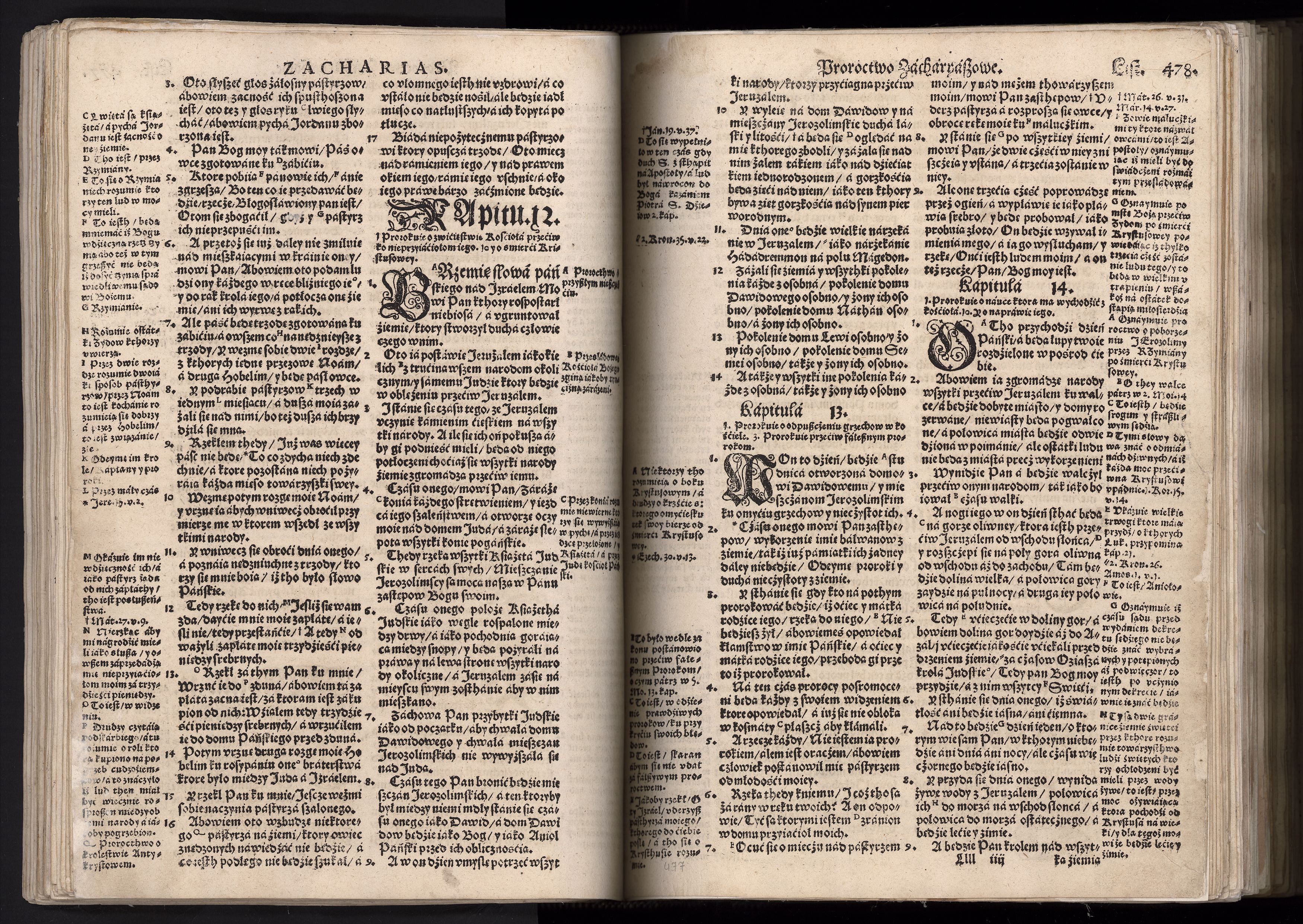 1_225_0_12_2747_0465