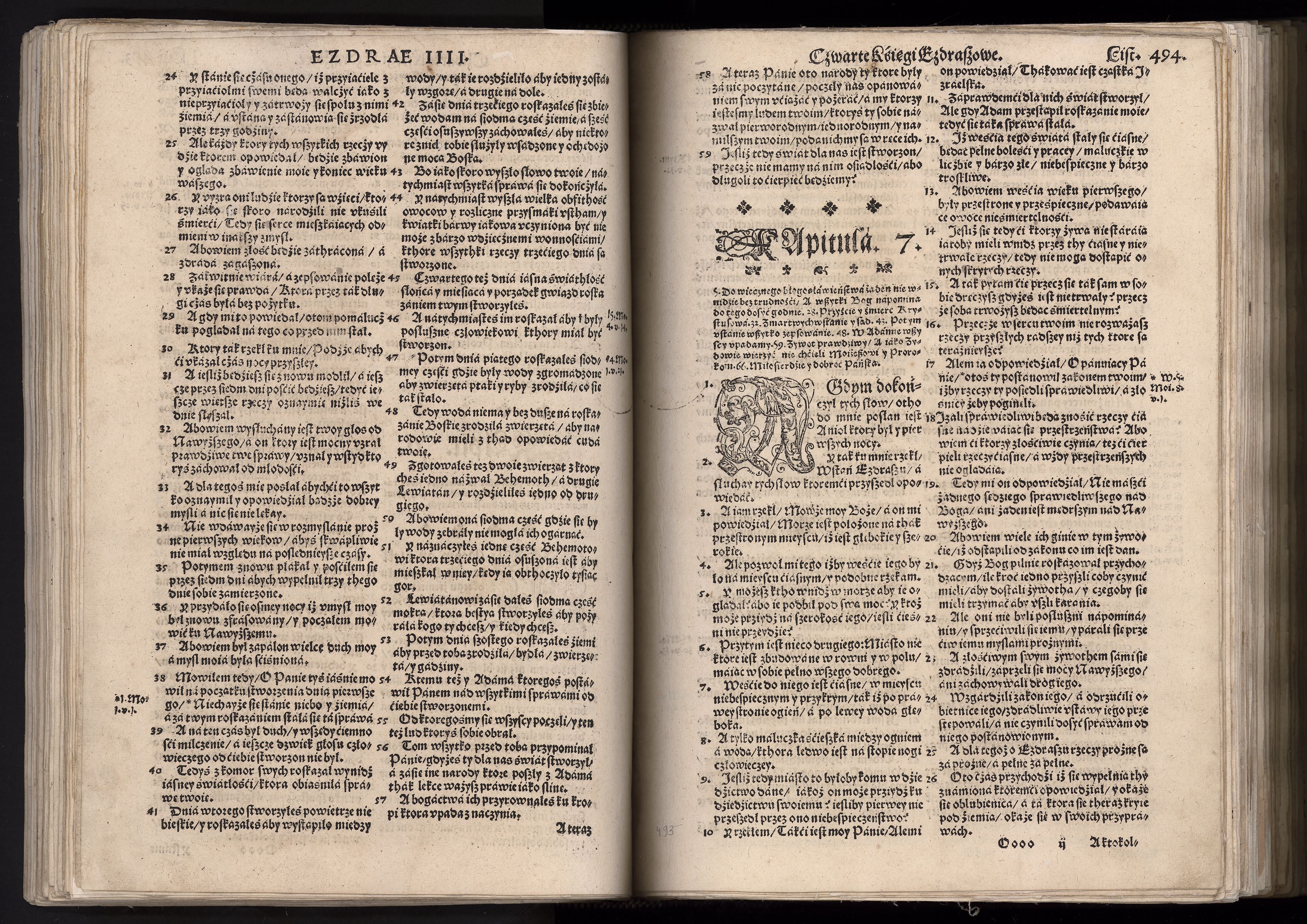 1_225_0_12_2747_0481