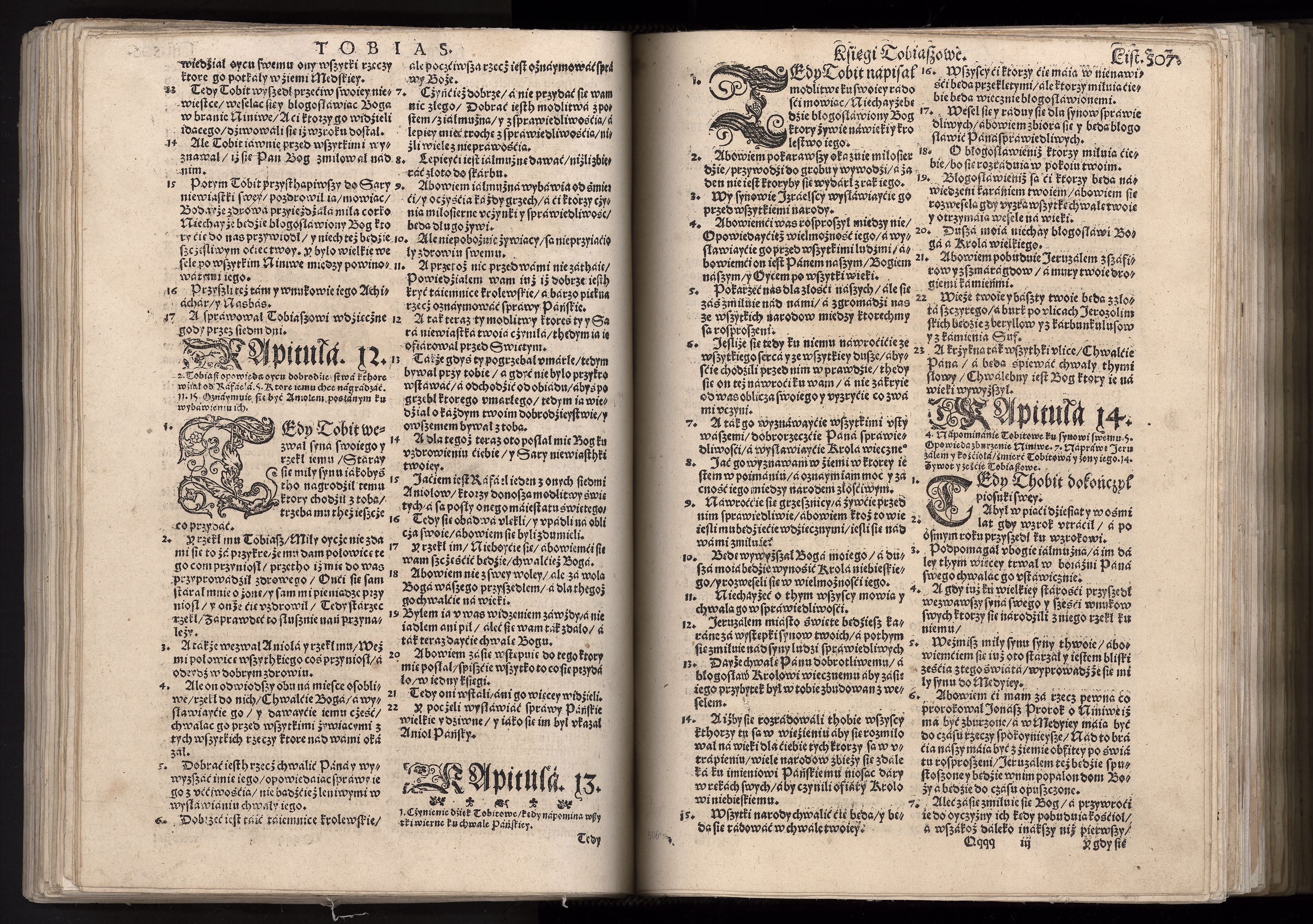 1_225_0_12_2747_0494