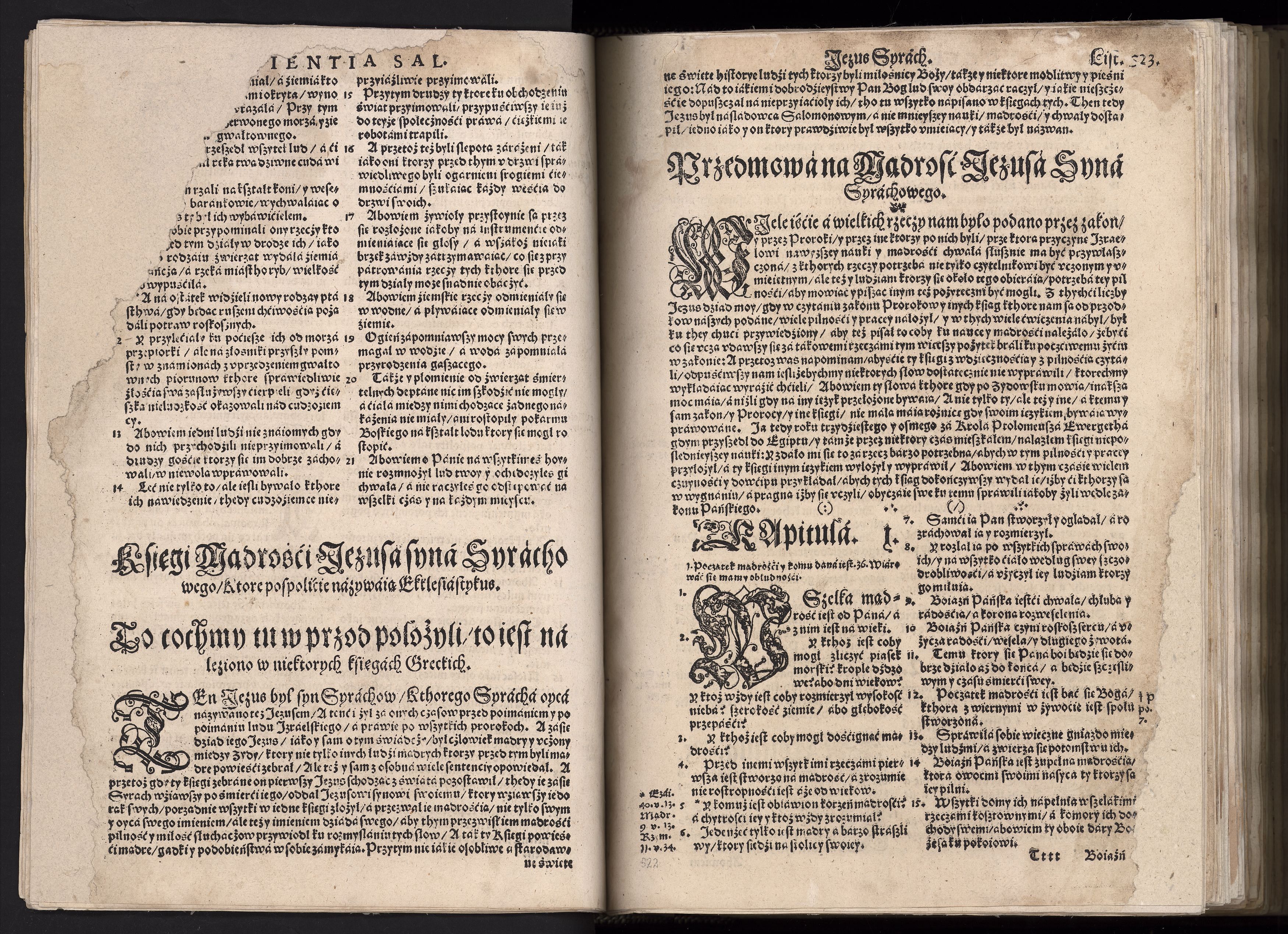 1_225_0_12_2747_0510