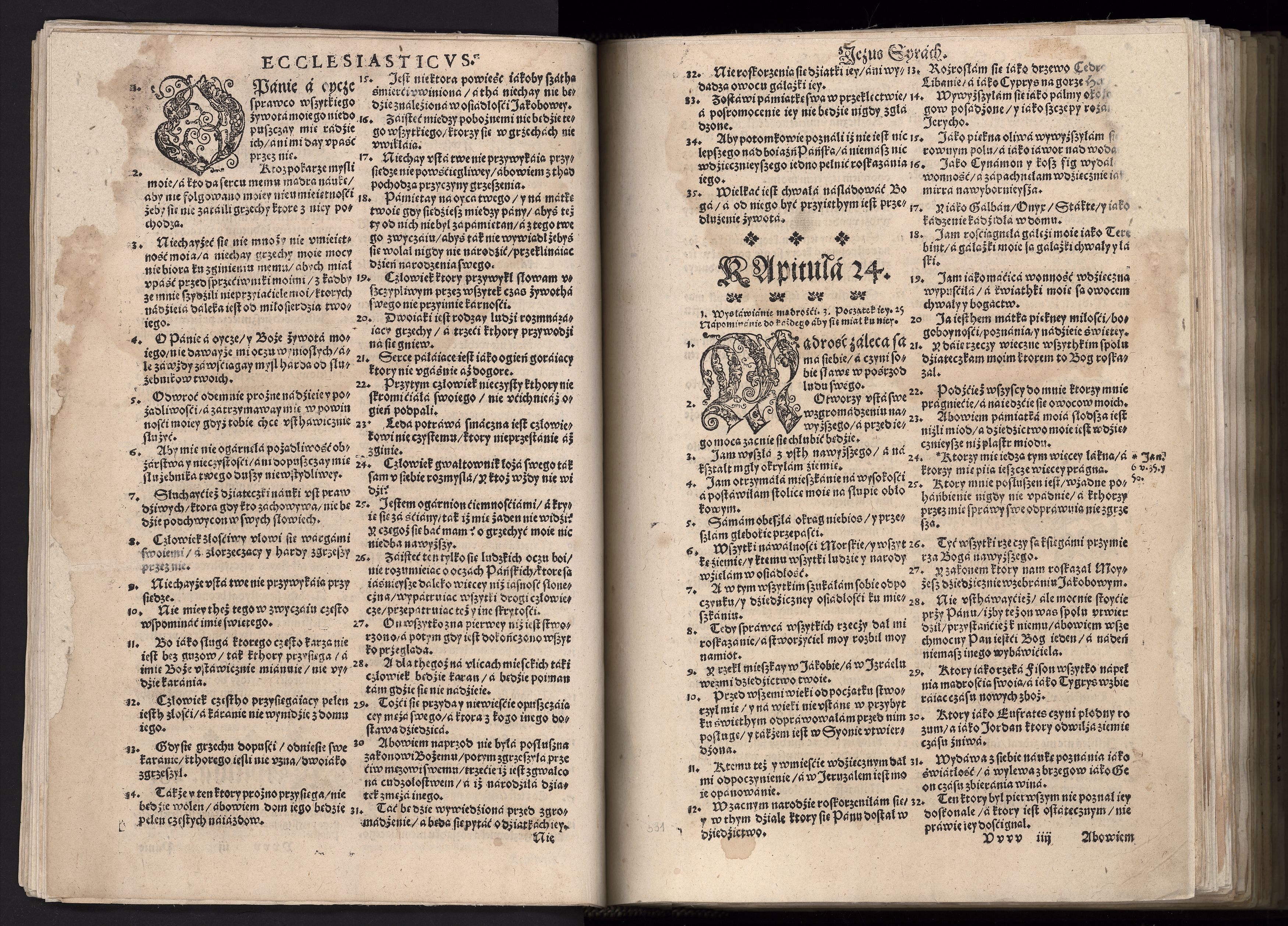 1_225_0_12_2747_0519