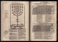 1_225_0_12_2747_0034