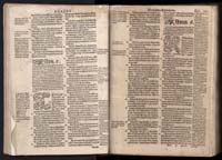 1_225_0_12_2747_0343