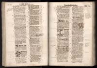 1_225_0_12_2747_0381