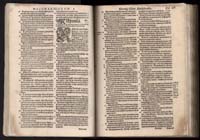 1_225_0_12_2747_0546