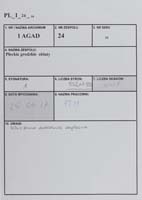 1_24_0_10_1_0000_metryczka