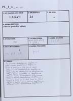 1_24_0_10_20_0000_metryczka