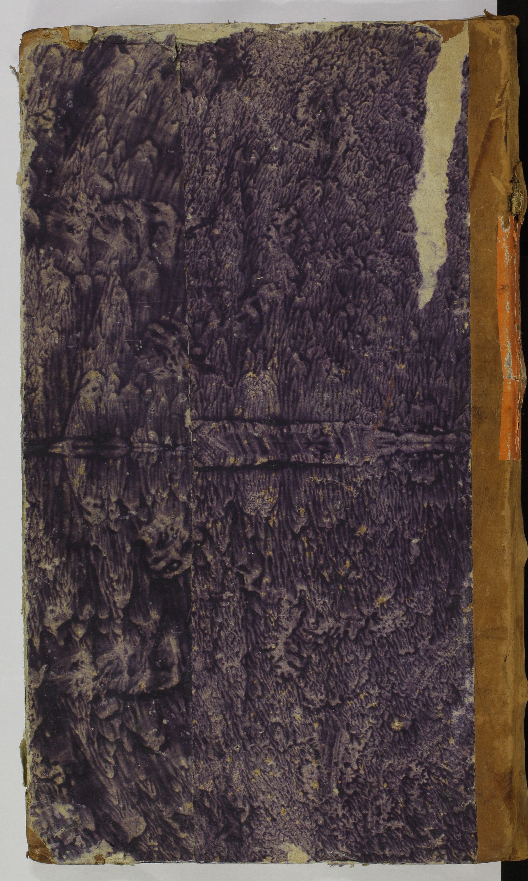 1_24_0_10_25_9999_okladka