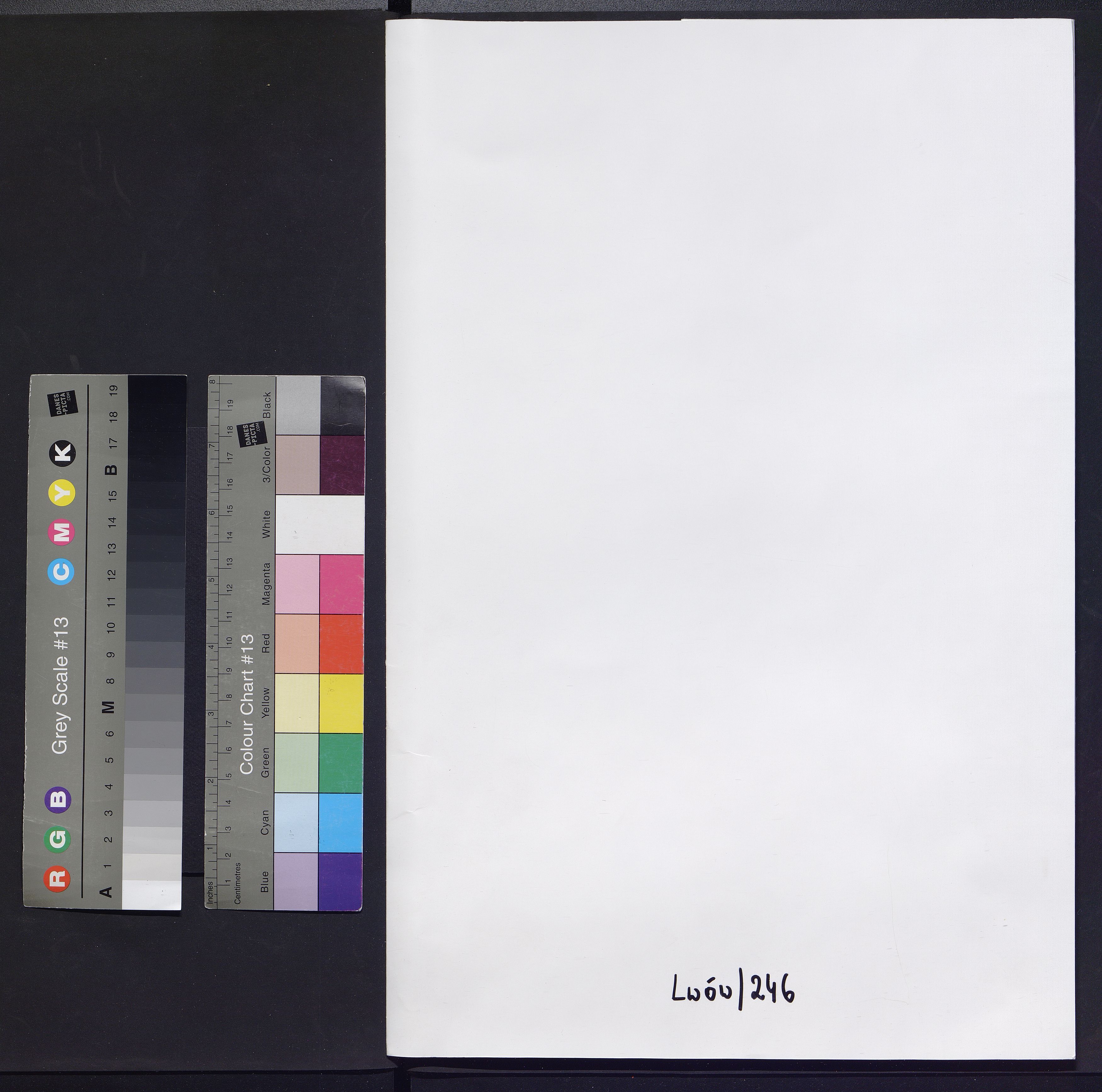 1_303_0_0_246_0000_okladka