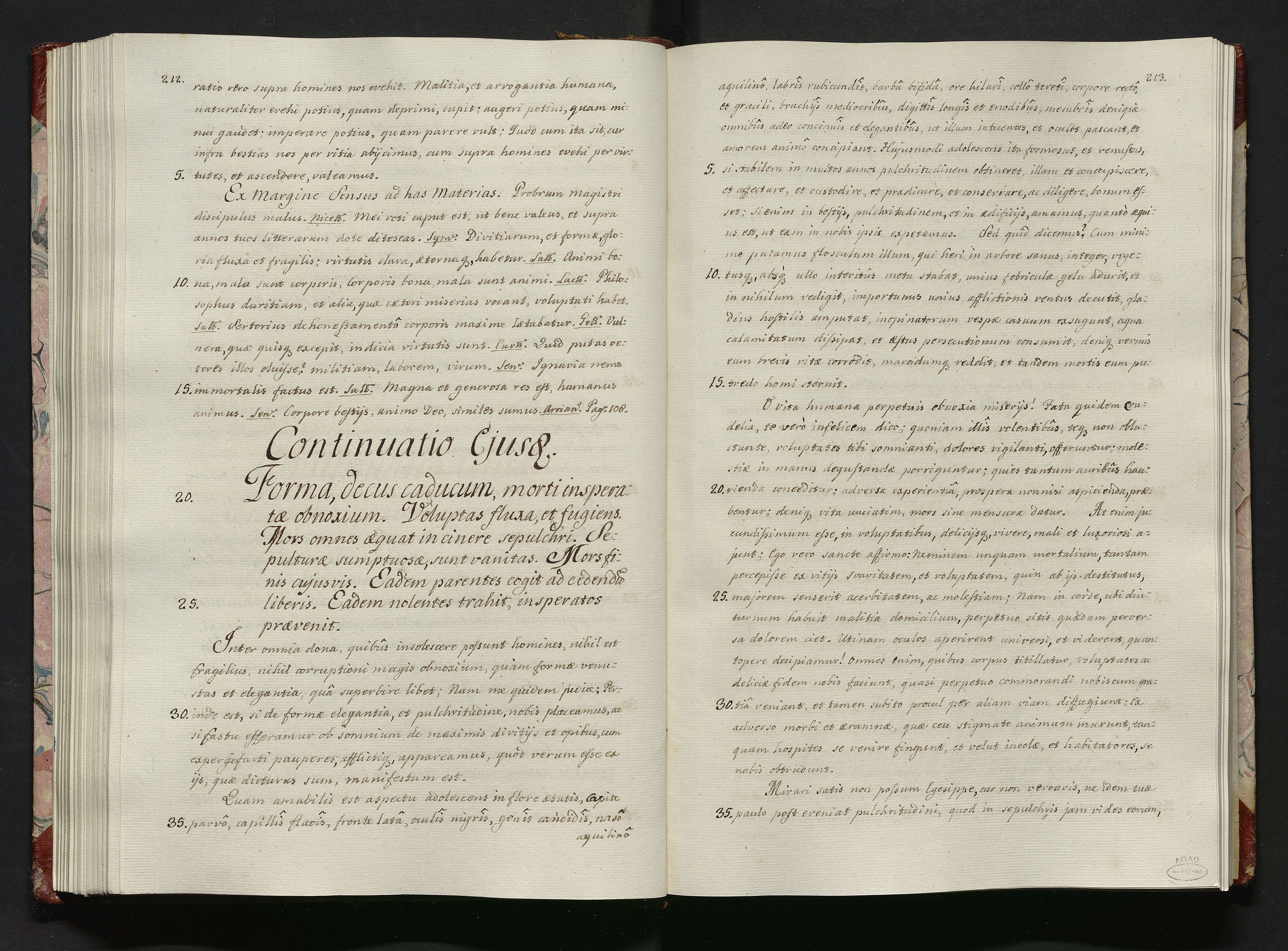 1_335_0_0_113-1_0113