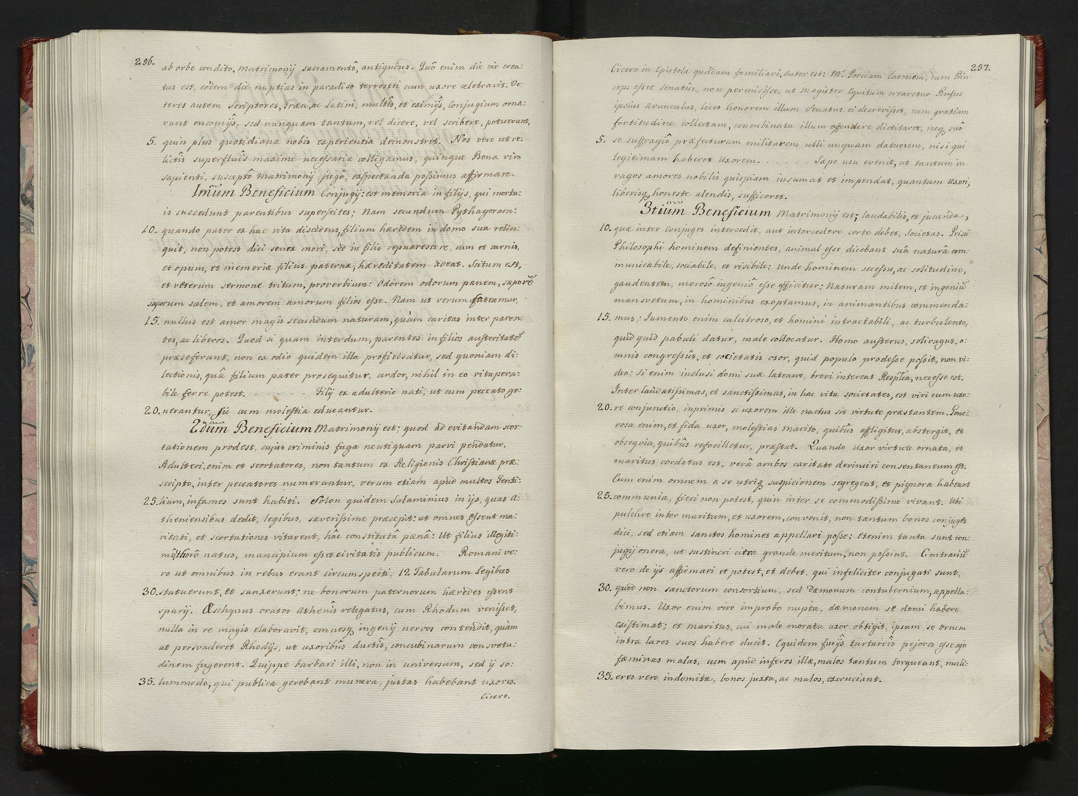 1_335_0_0_113-1_0136