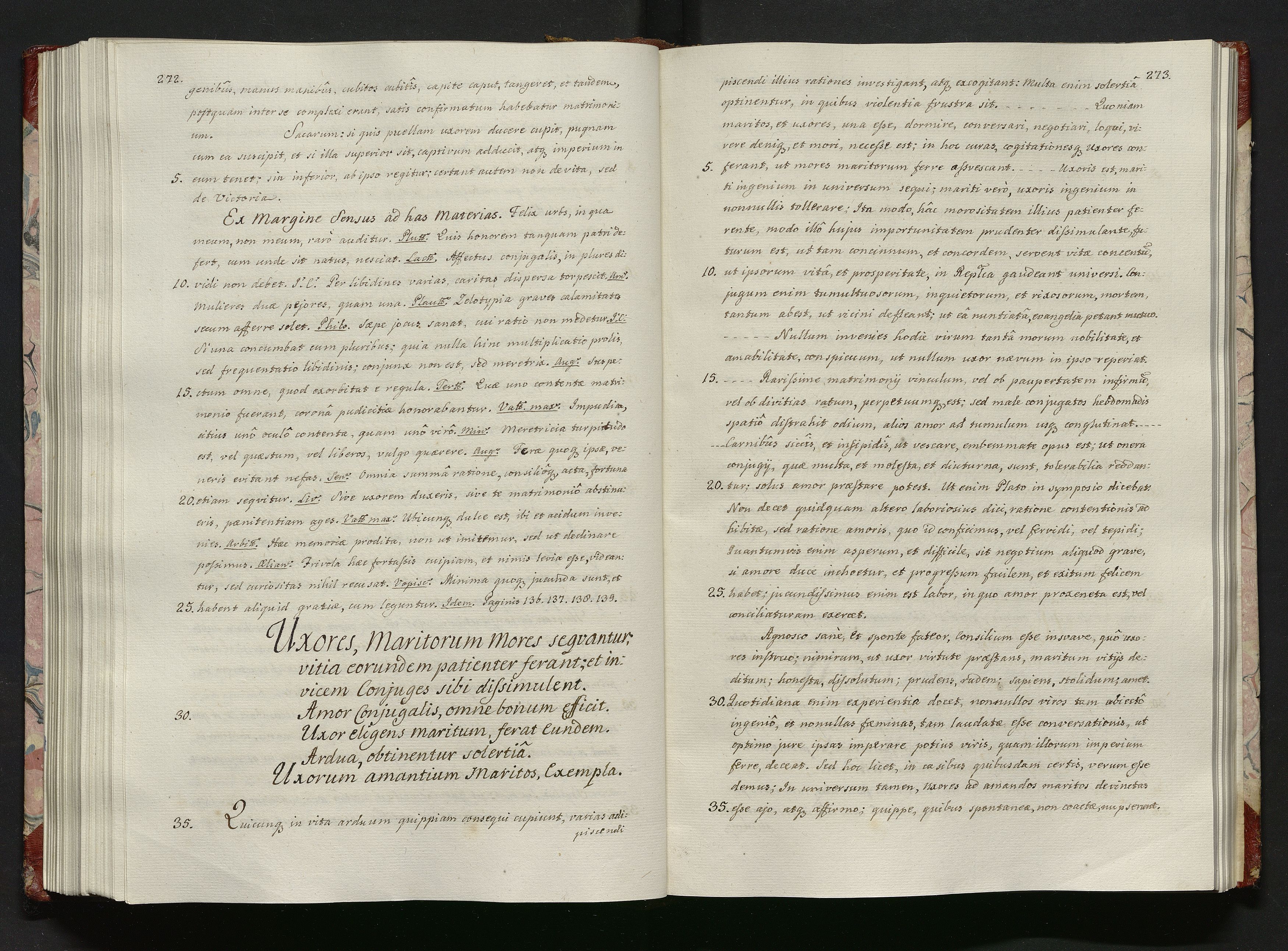 1_335_0_0_113-1_0144