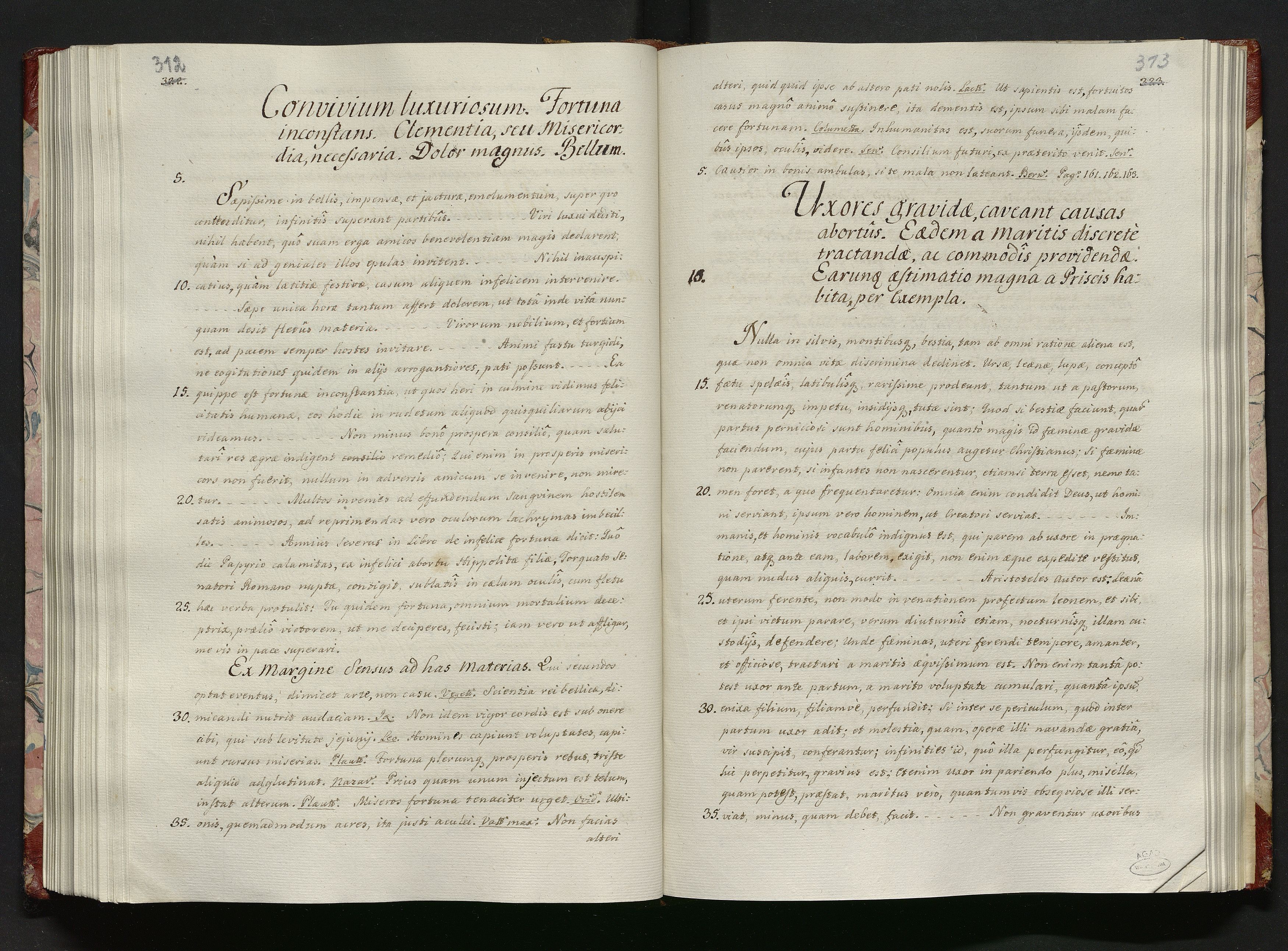 1_335_0_0_113-1_0164