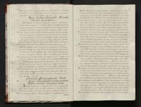 1_335_0_0_113-1_0007