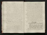 1_335_0_0_113-1_0049