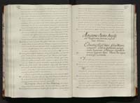 1_335_0_0_113-1_0153