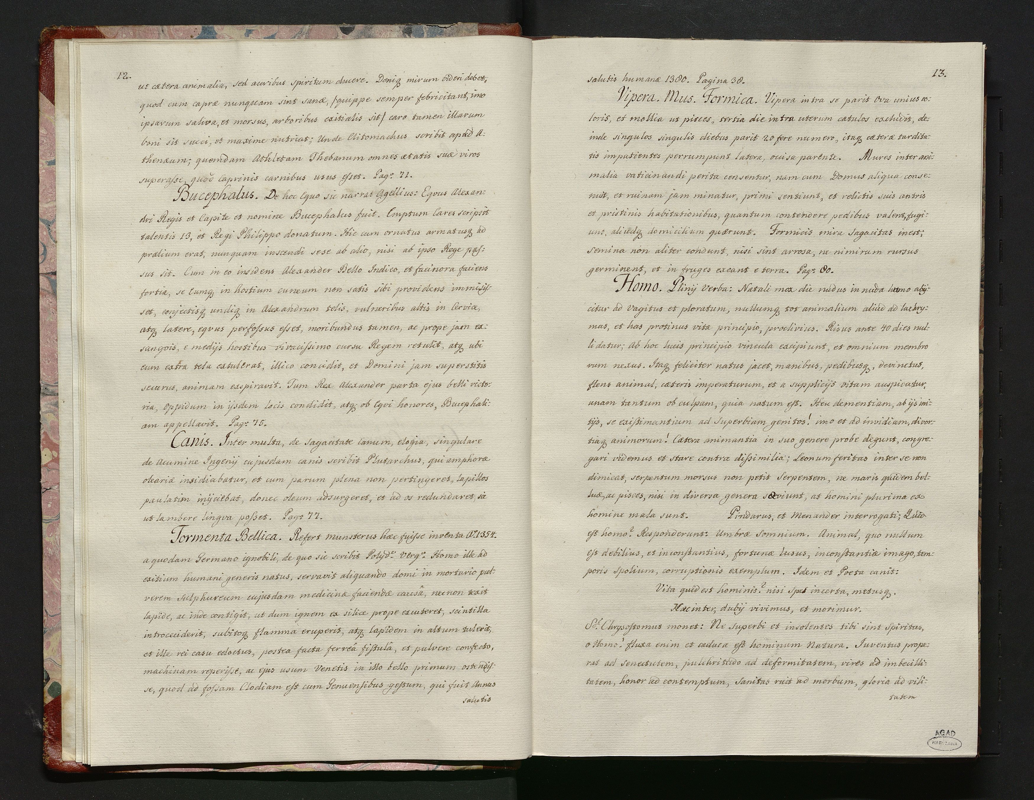 1_335_0_0_114-2_0008