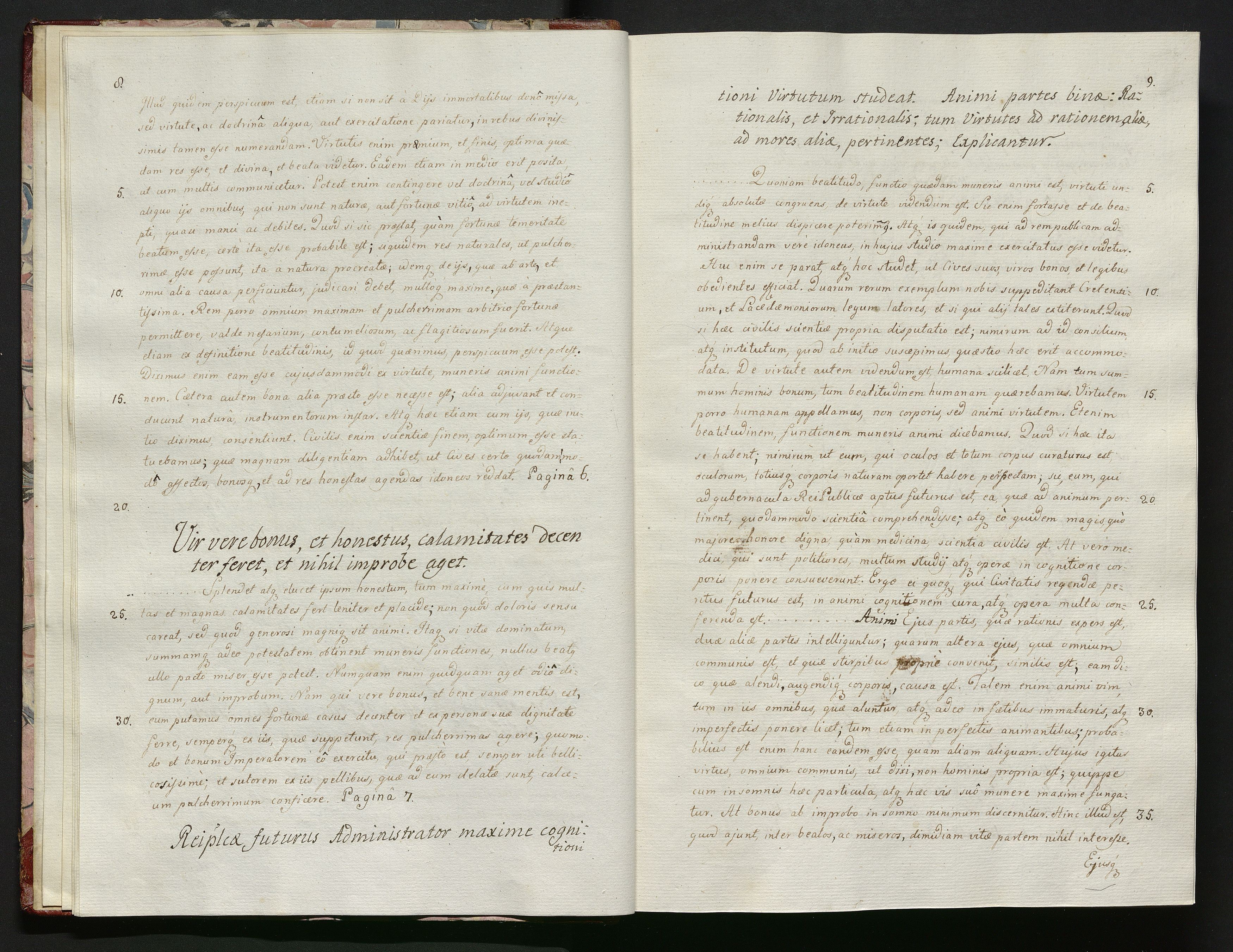 1_335_0_0_119-1_0007