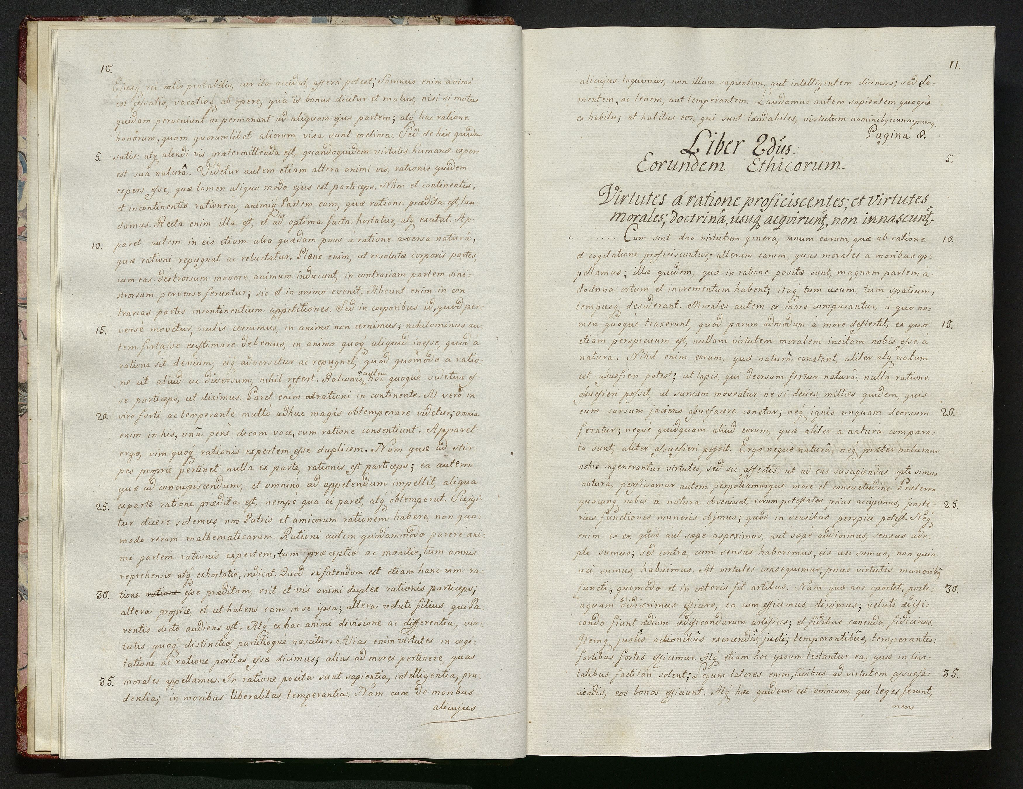 1_335_0_0_119-1_0008