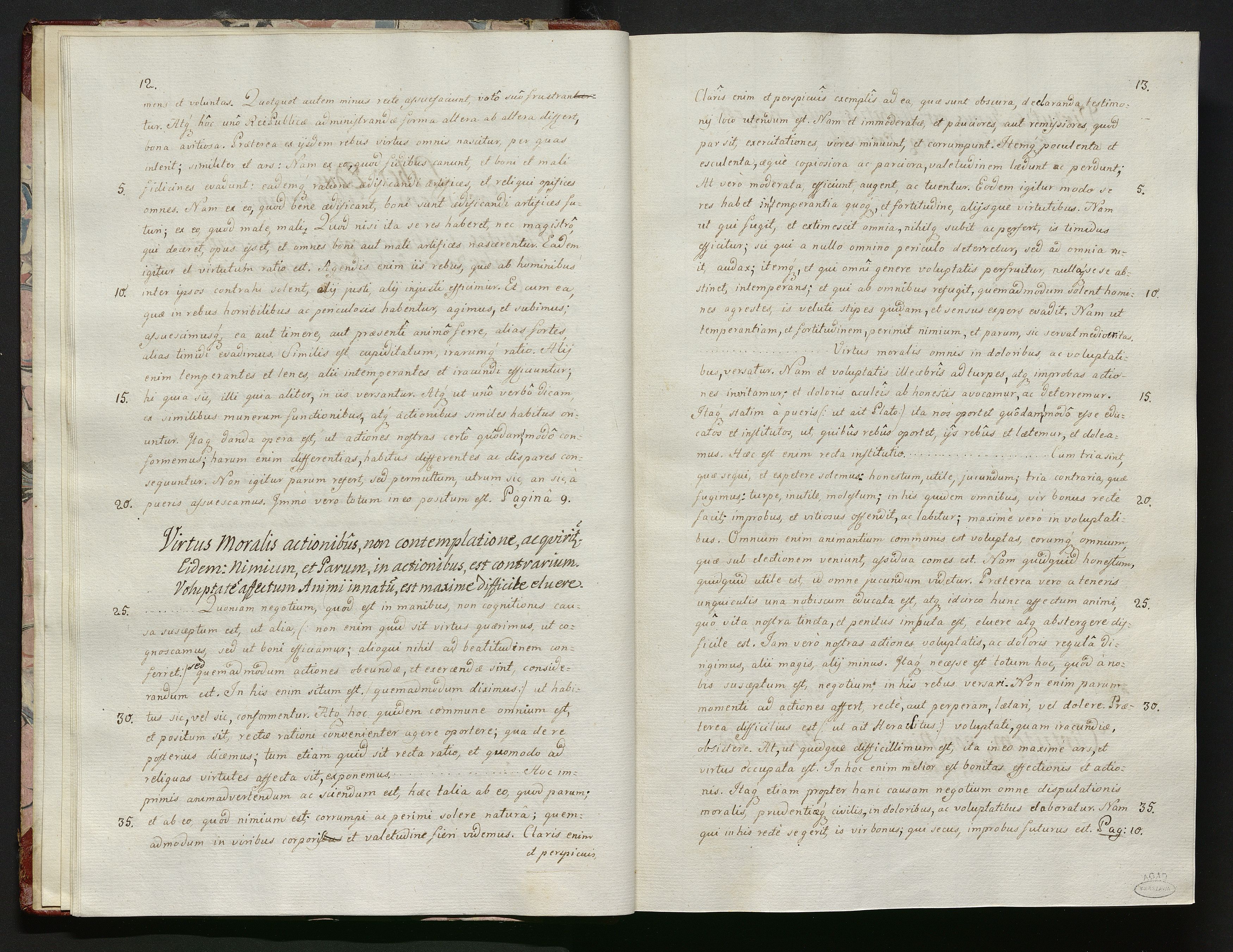 1_335_0_0_119-1_0009