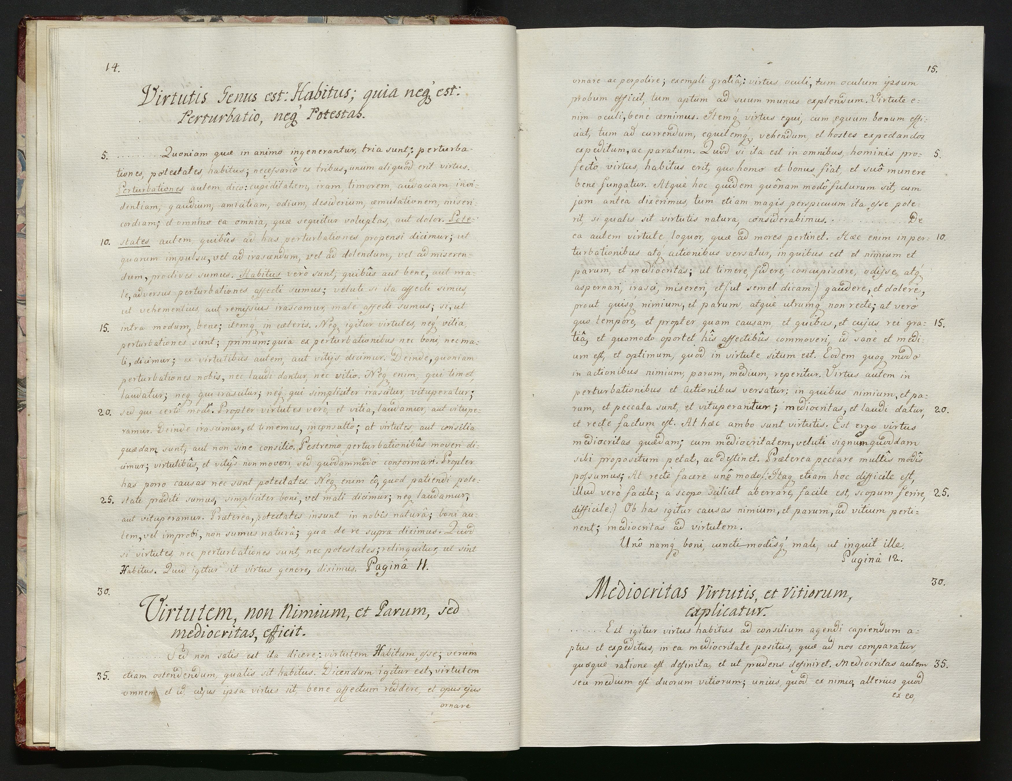 1_335_0_0_119-1_0010