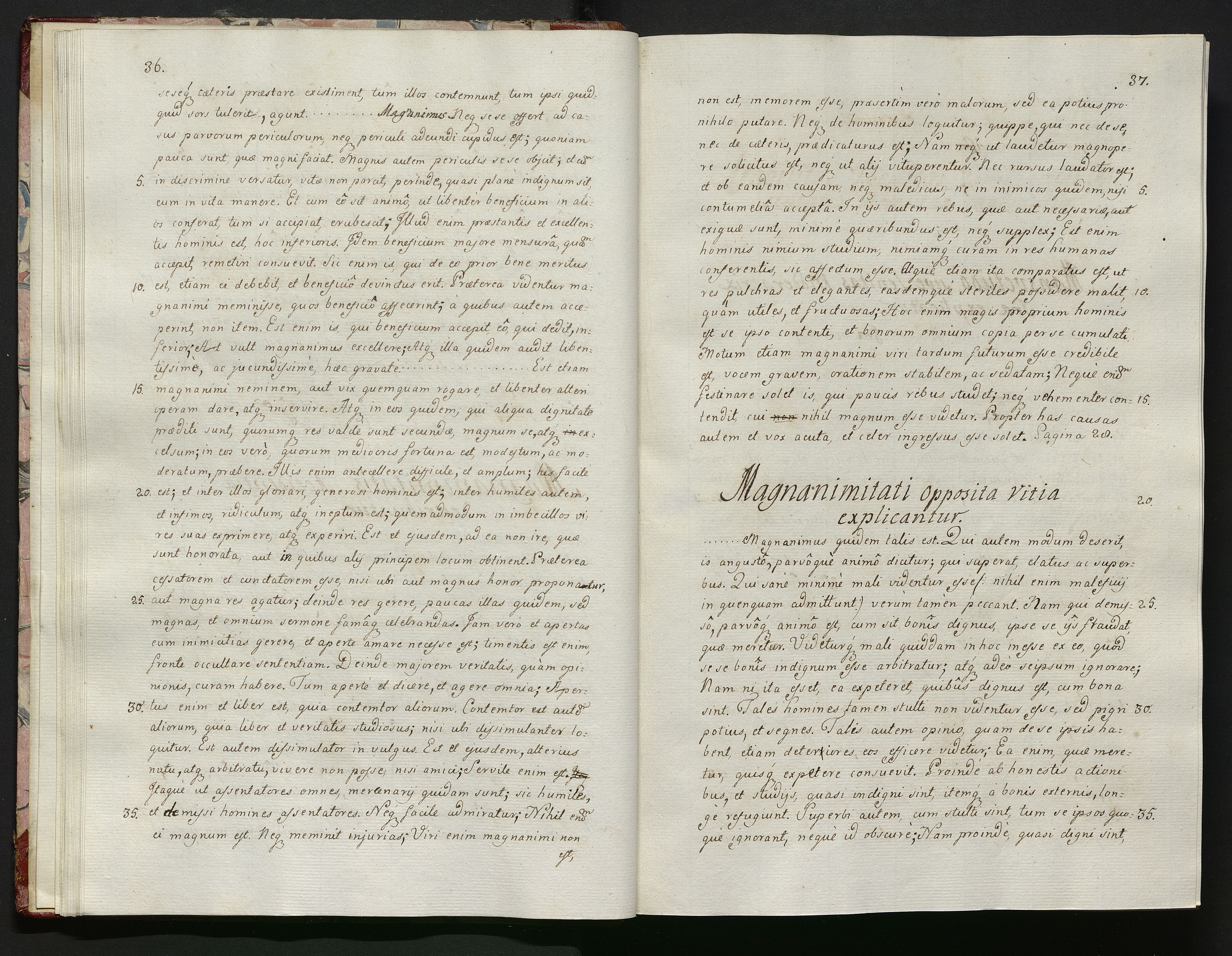 1_335_0_0_119-1_0021