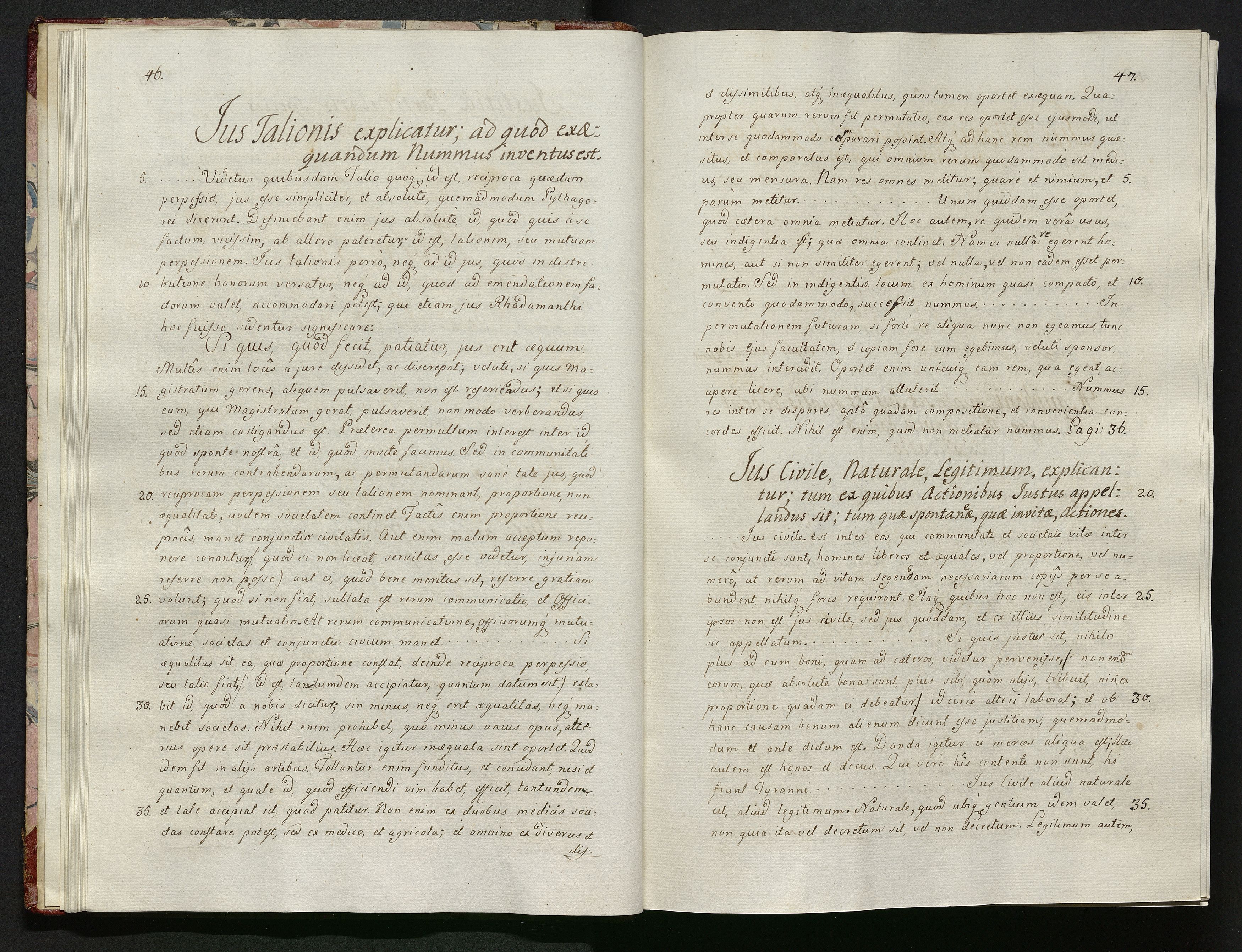 1_335_0_0_119-1_0026