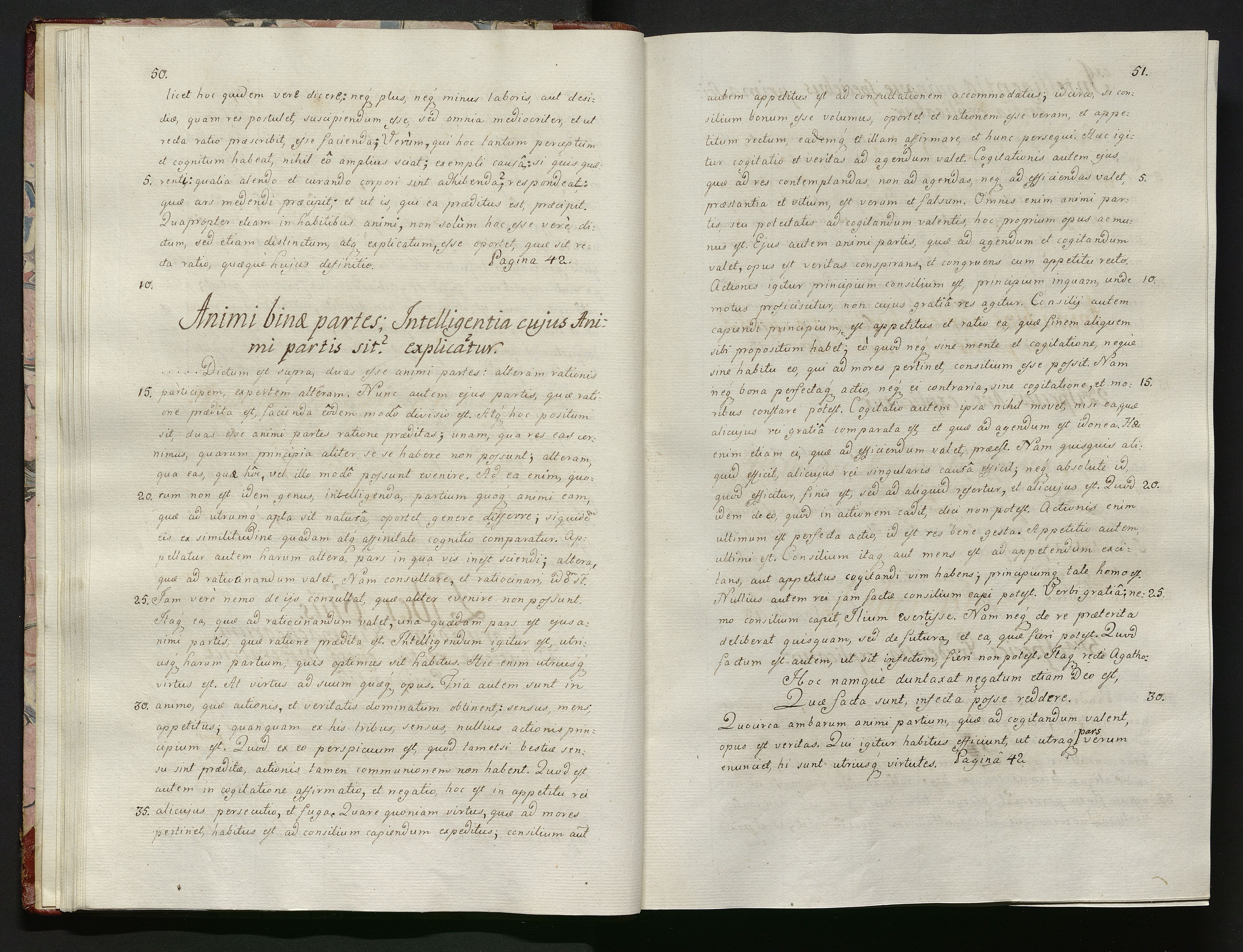 1_335_0_0_119-1_0028