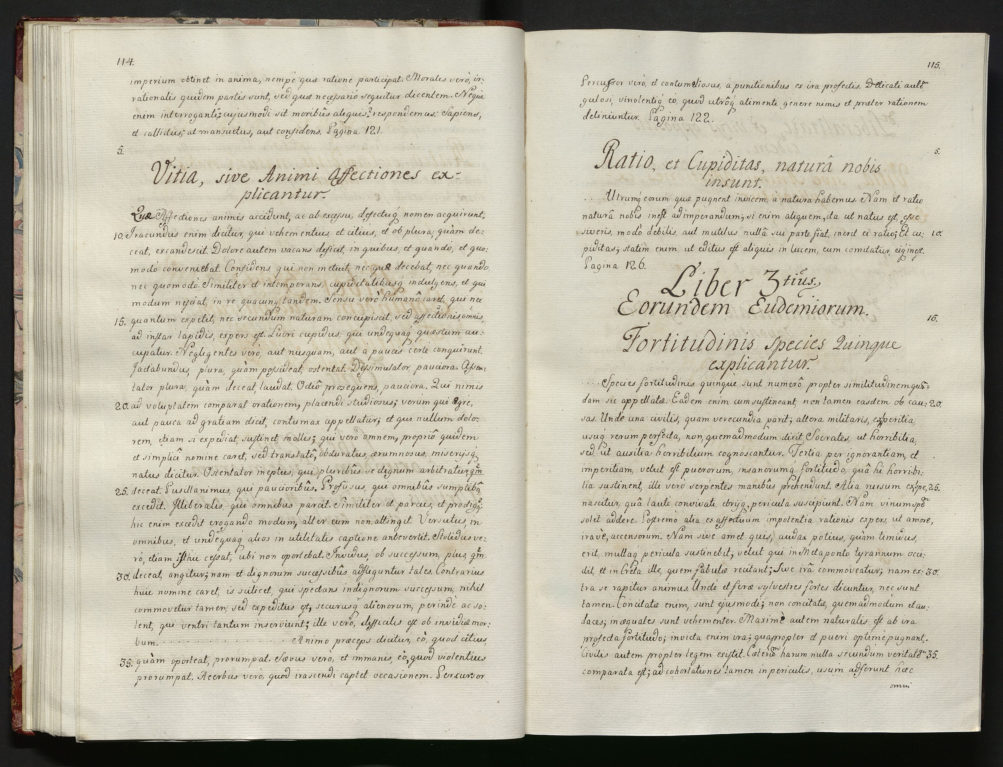 1_335_0_0_119-1_0060