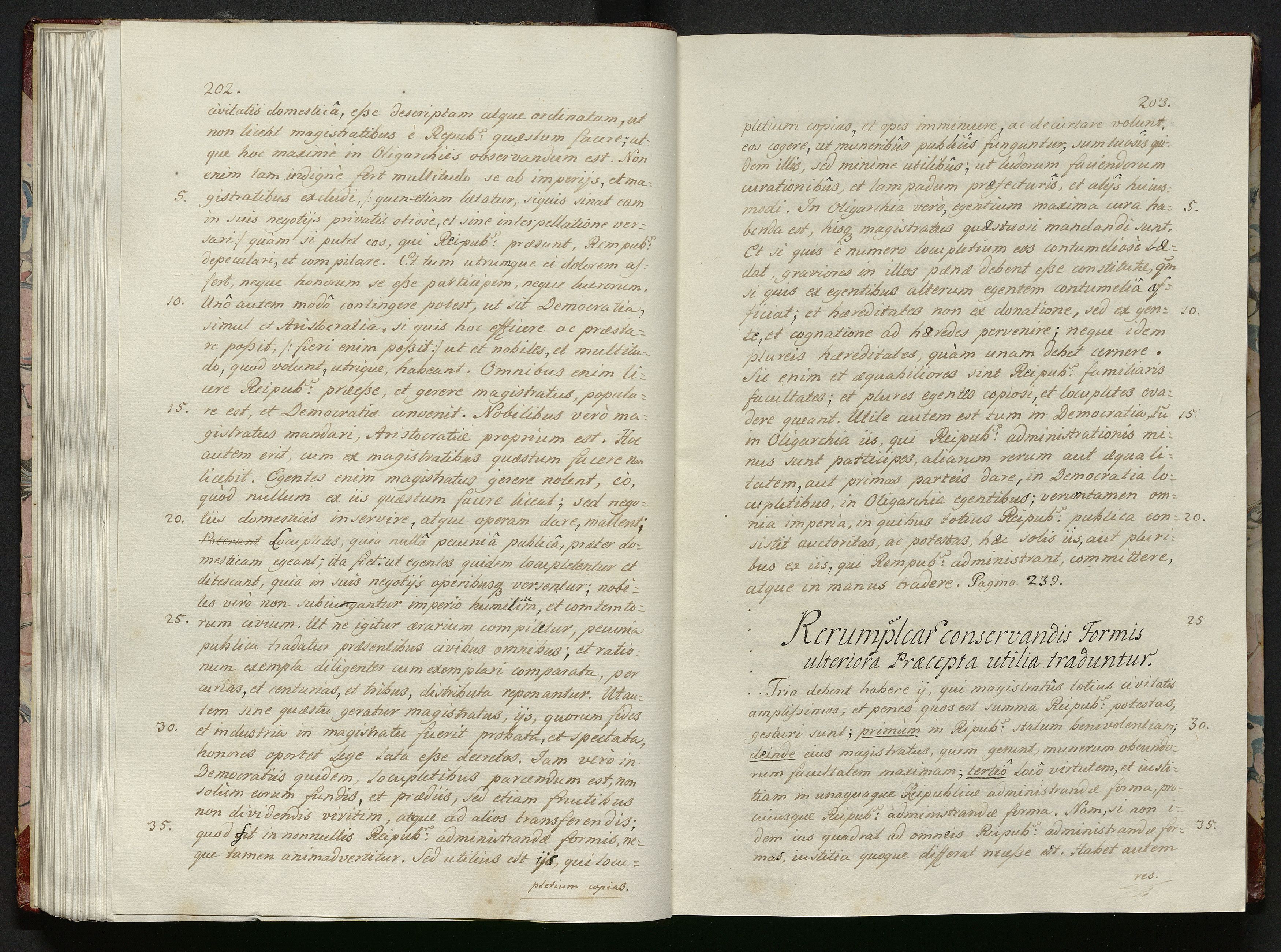 1_335_0_0_119-1_0104