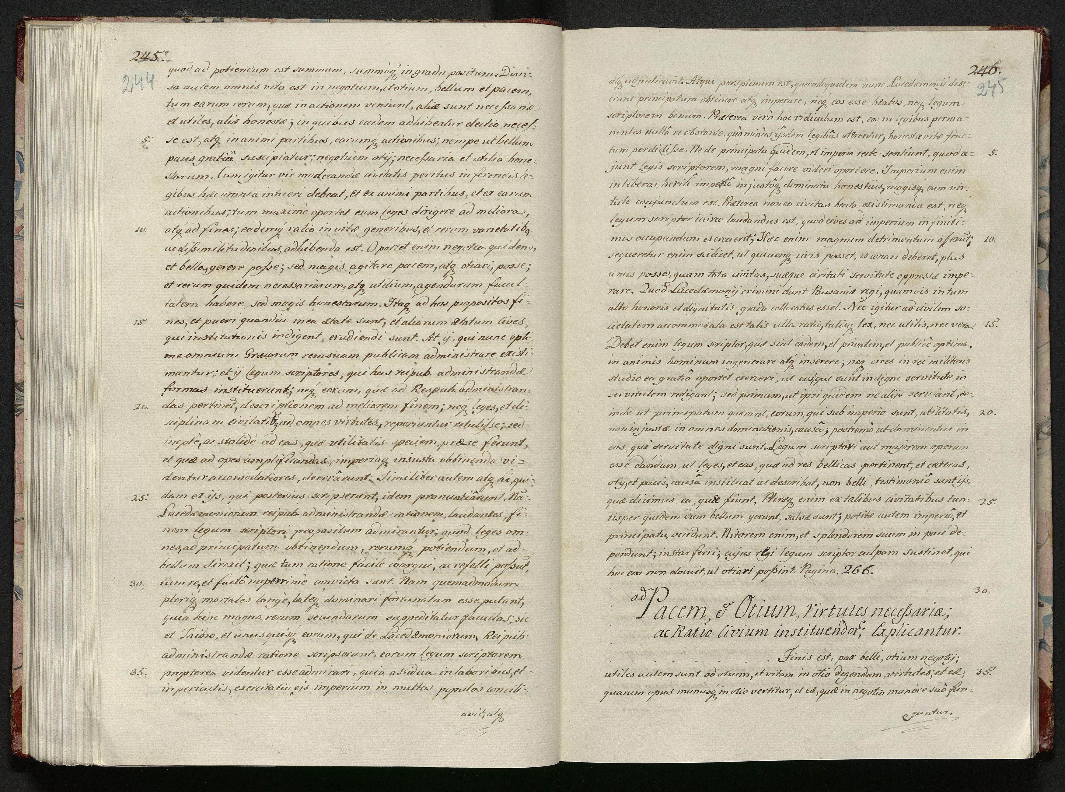 1_335_0_0_119-1_0125