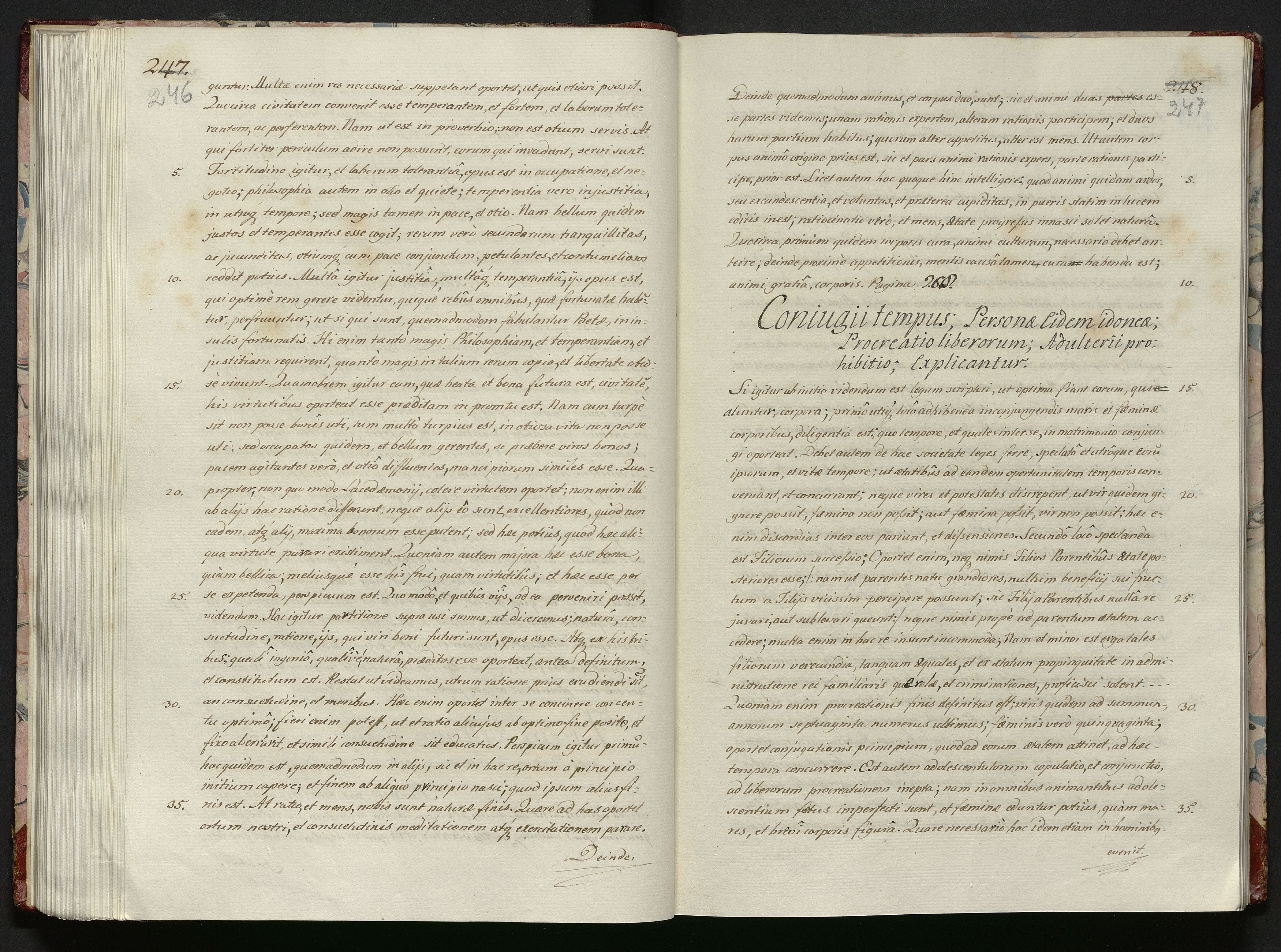 1_335_0_0_119-1_0126